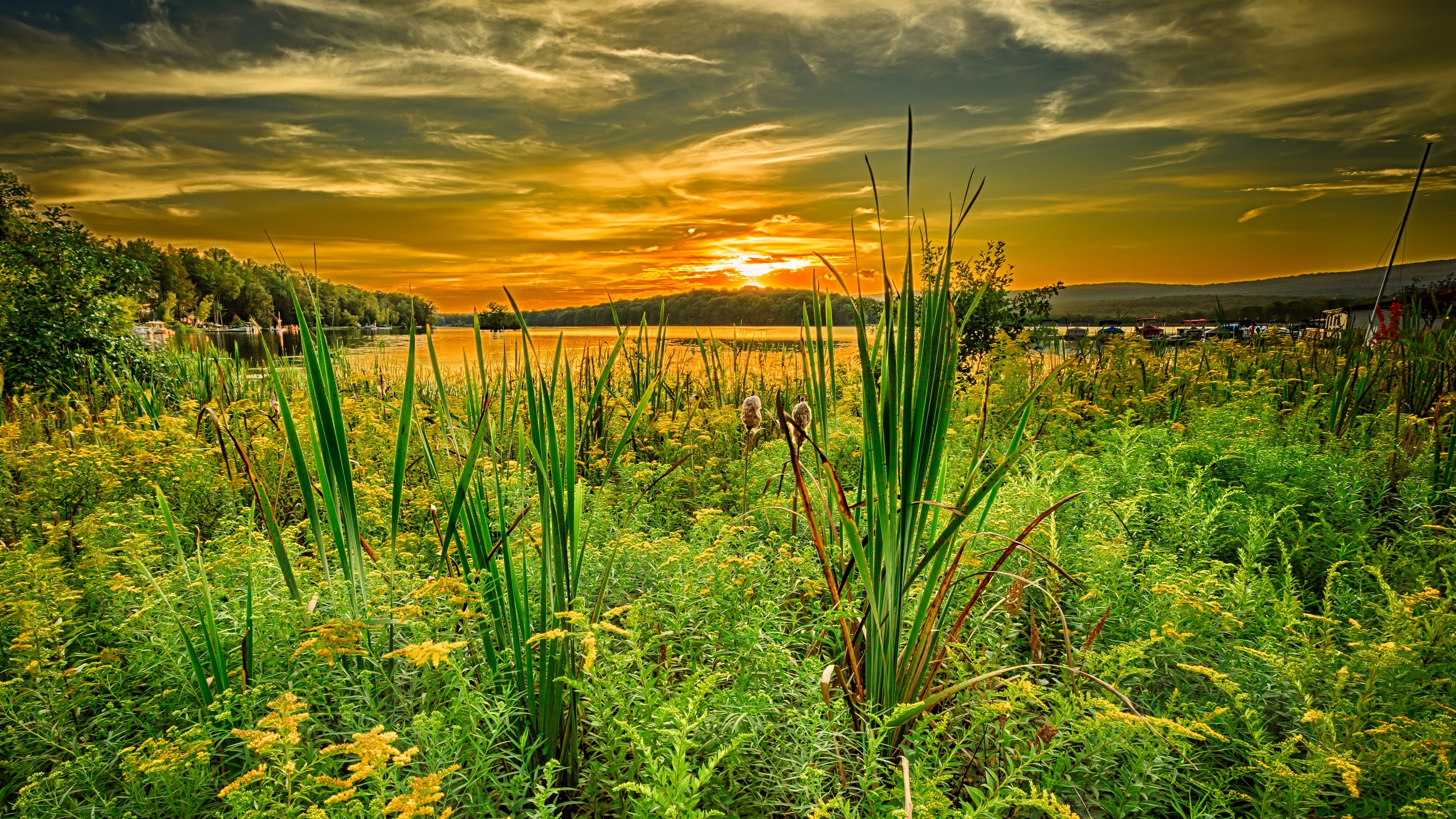 Landscape Portrait - Sunset , HD Wallpaper & Backgrounds