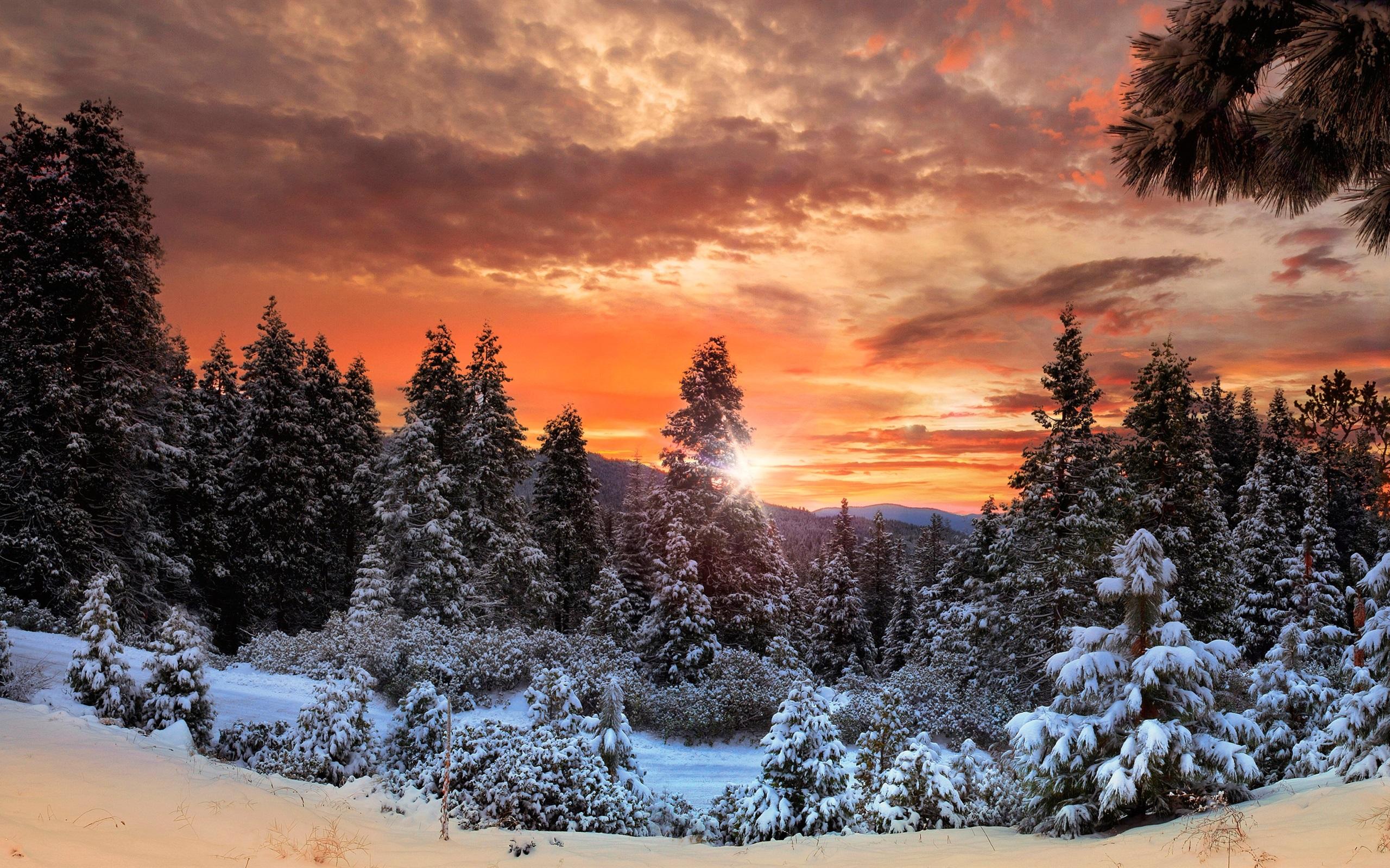 Winter Sunset Wallpaper , HD Wallpaper & Backgrounds