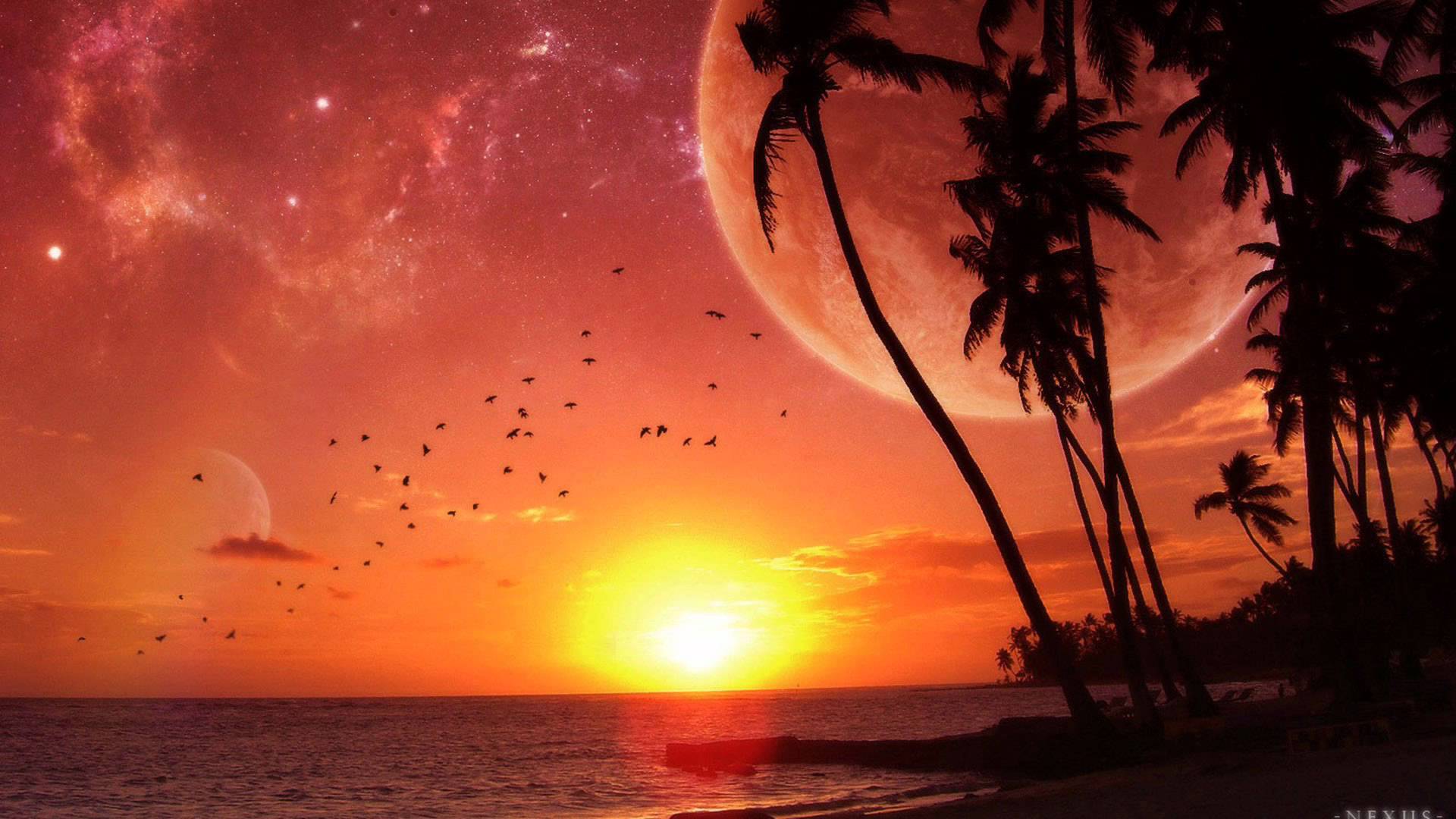 Tropical Sunset Wallpapers For Pc & Mac, Tablet, Laptop, - Nature Wallpapers For Mobile Screen , HD Wallpaper & Backgrounds