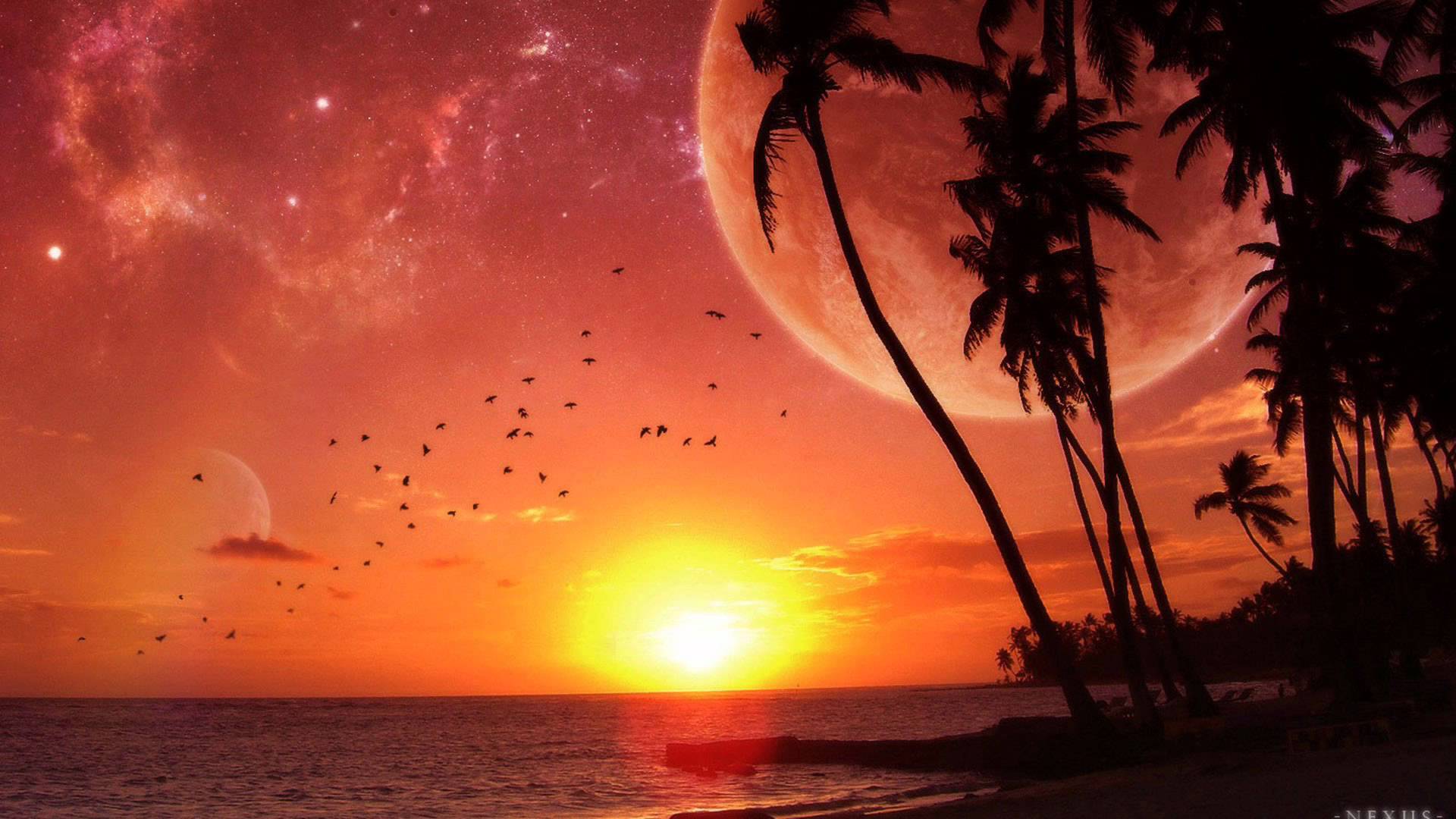 Tropical Sunset Wallpapers For Pc Mac Tablet Laptop Nature