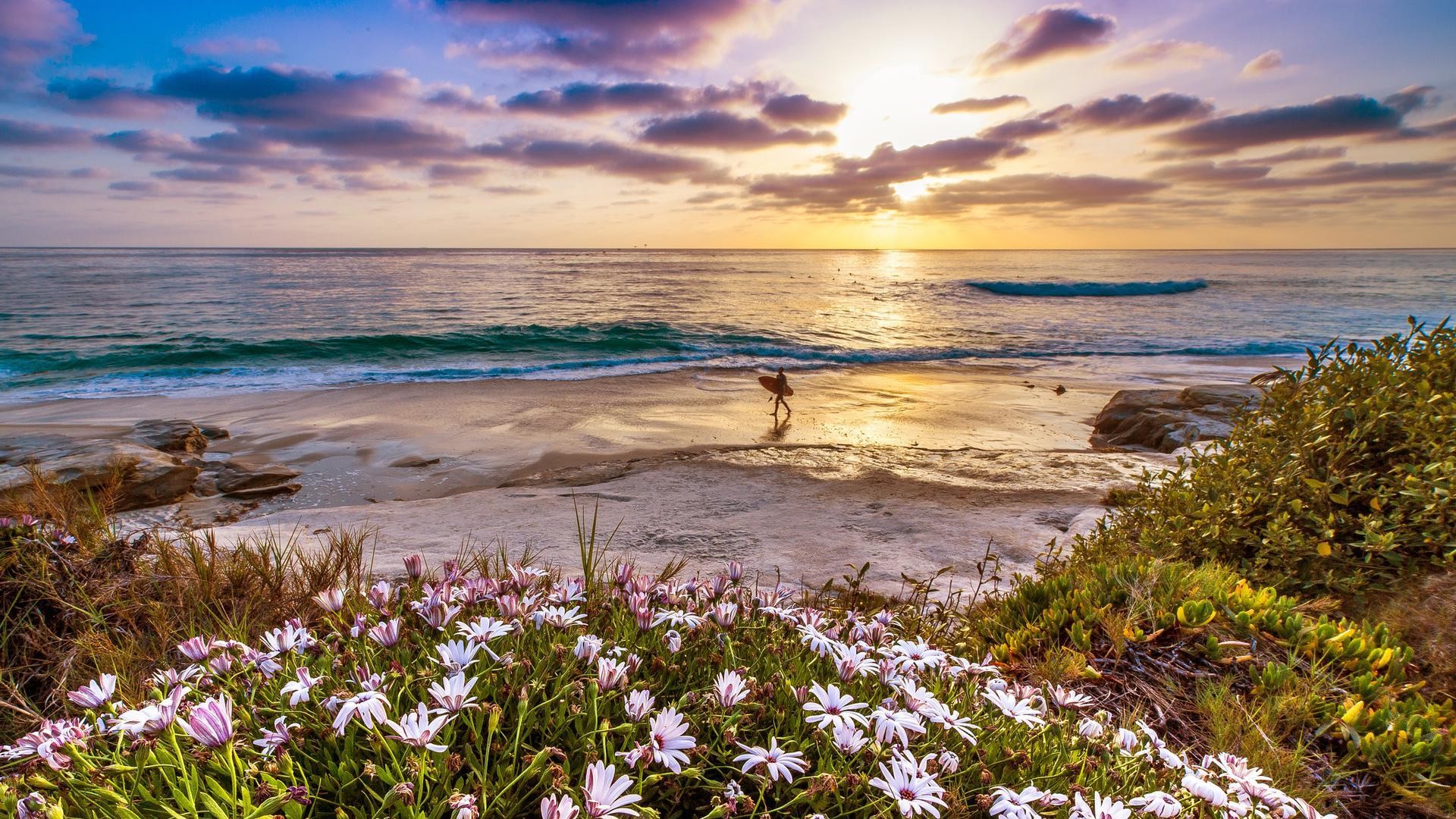 Surfer On A California Beach At Sunset Wallpapers Hd - Pretty Summer Nature Backgrounds , HD Wallpaper & Backgrounds