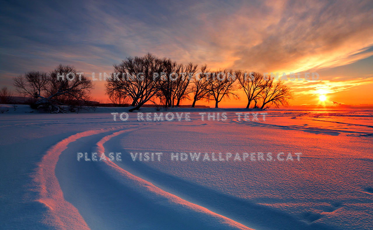 Winter Sunset Wallpaper - Winter Screensavers For Windows 10 , HD Wallpaper & Backgrounds