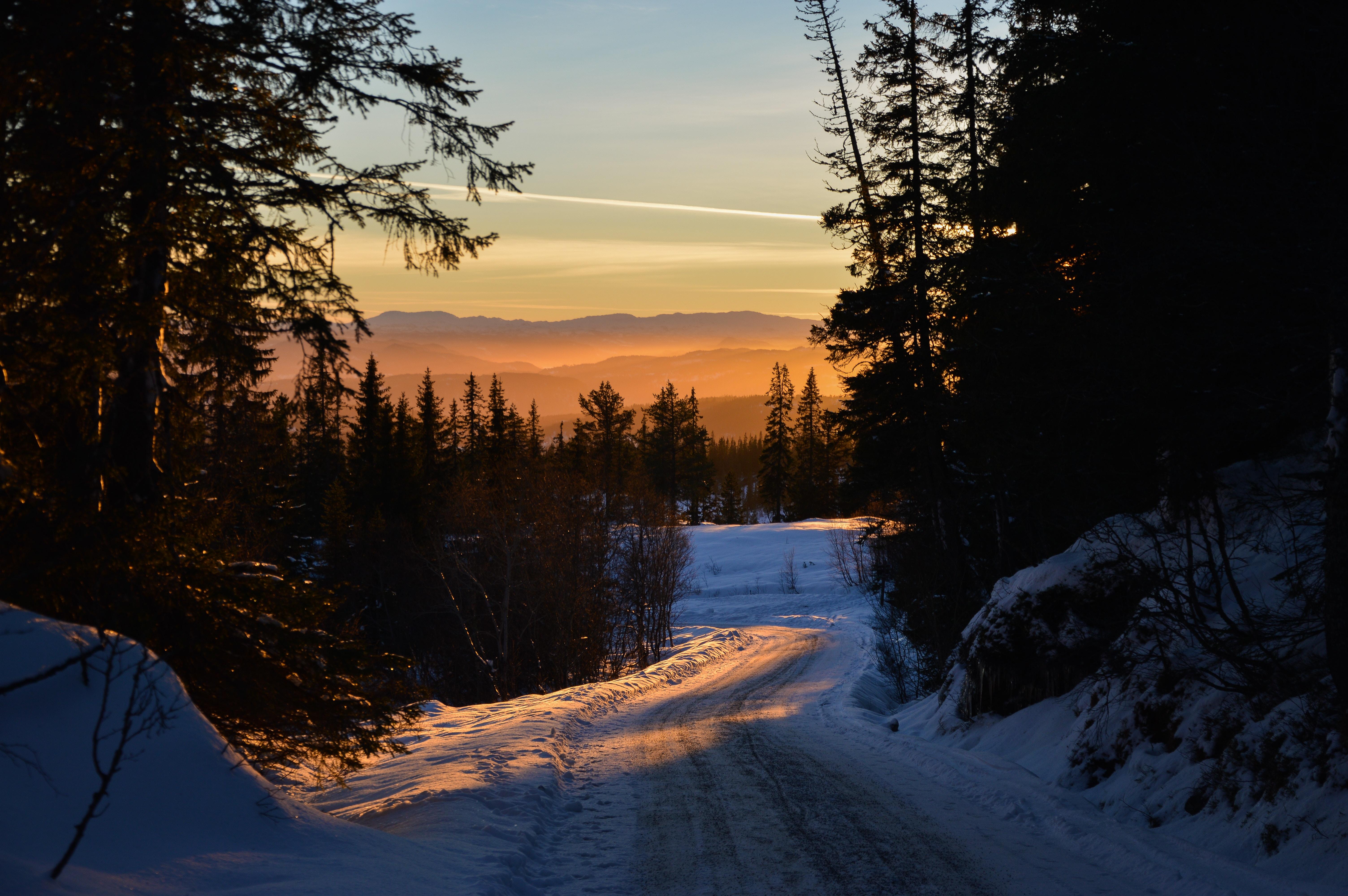 Forest, Winter, Sunset, Road, Trees, Sky - Sei Stark Und Mutig Sprüche , HD Wallpaper & Backgrounds