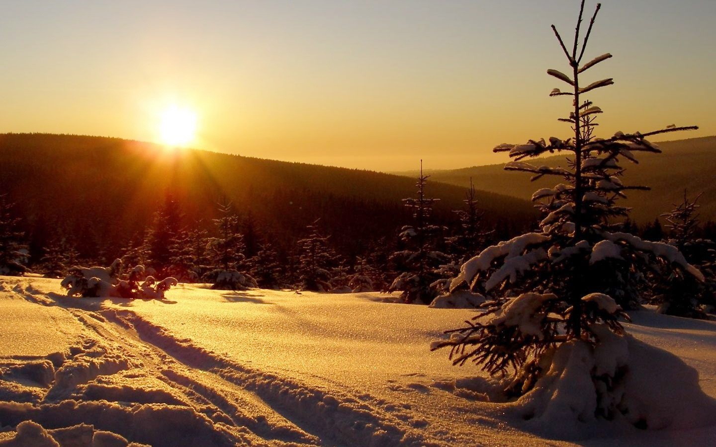 Golden Winter Sunset Hd Desktop Wallpaper - Sun Shining On Snow , HD Wallpaper & Backgrounds