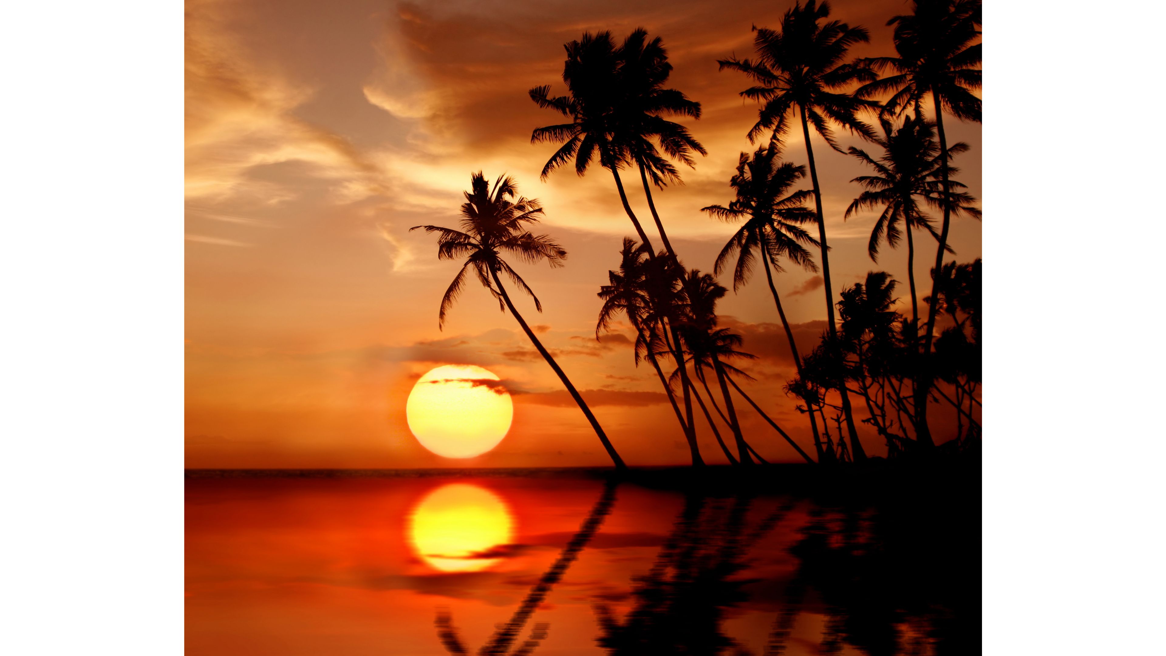 Tropical Sunset S Wallpaper - Tropical Beach Paradise Sunset , HD Wallpaper & Backgrounds