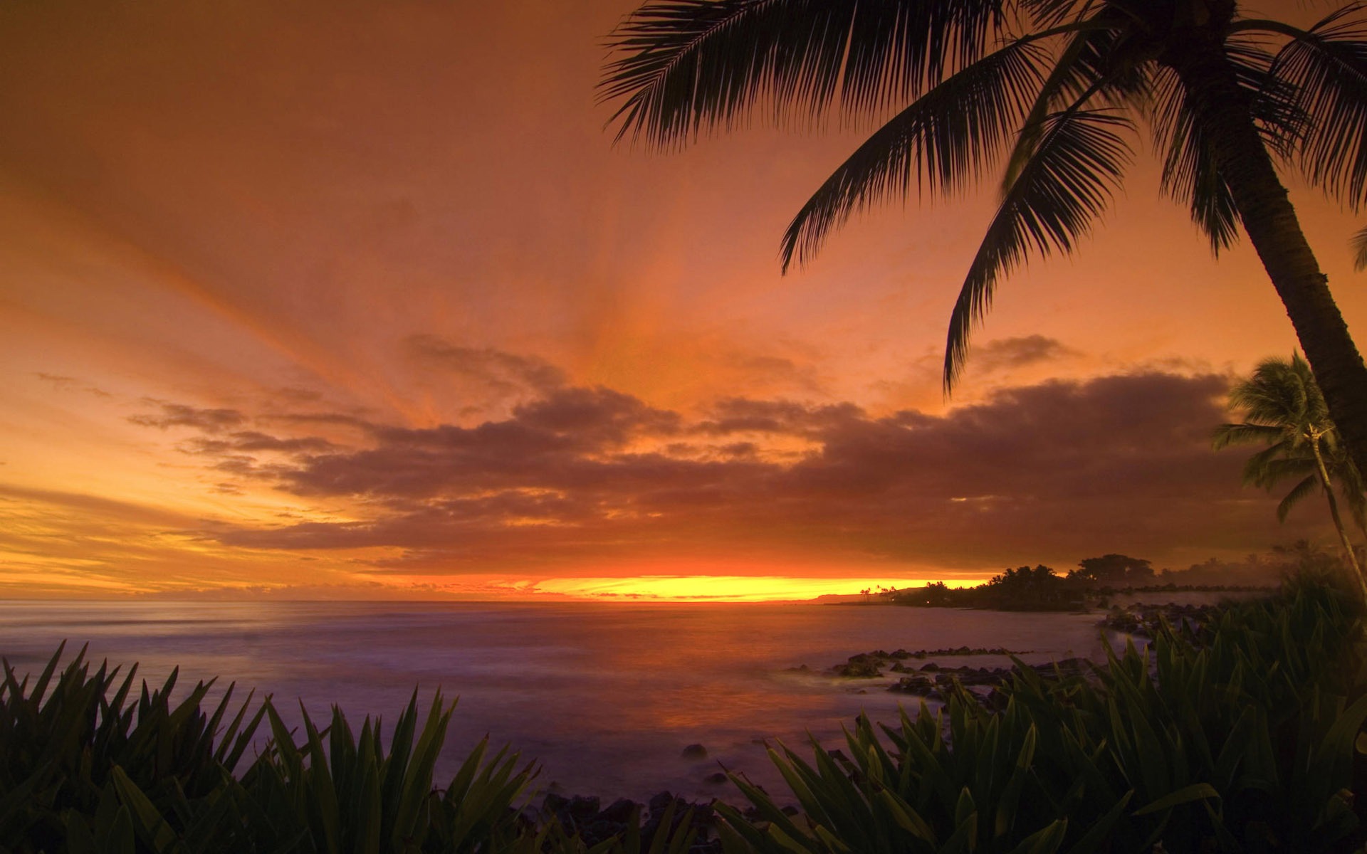 Tropical Sunset Wallpaper Landscape Nature Wallpapers - Beautiful Sunset Beach , HD Wallpaper & Backgrounds