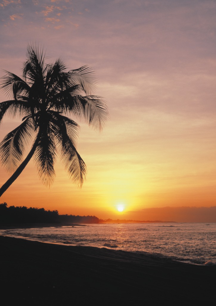 Sunset Tropical , HD Wallpaper & Backgrounds