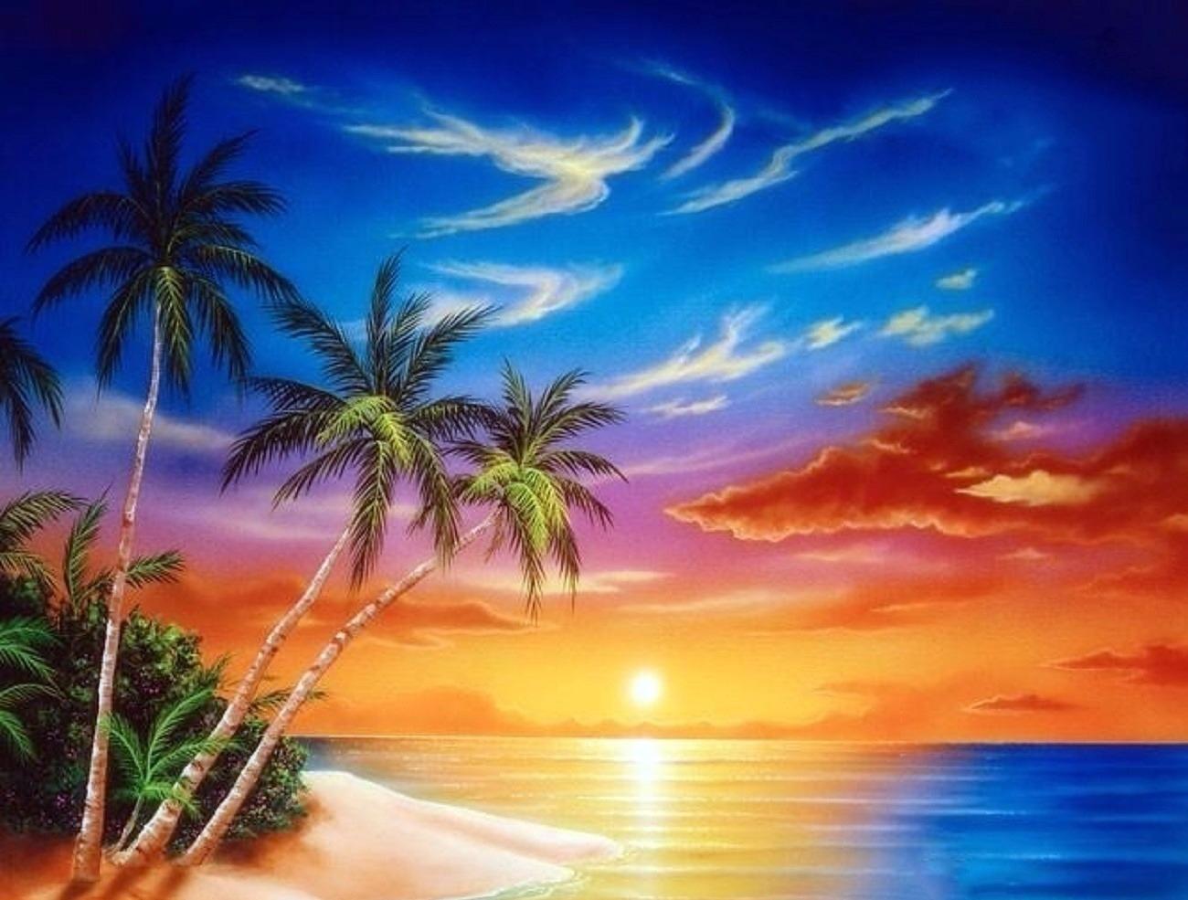 Tropical Island Sunset Wallpapers High Quality Resolution - Dolphin Seascapes , HD Wallpaper & Backgrounds