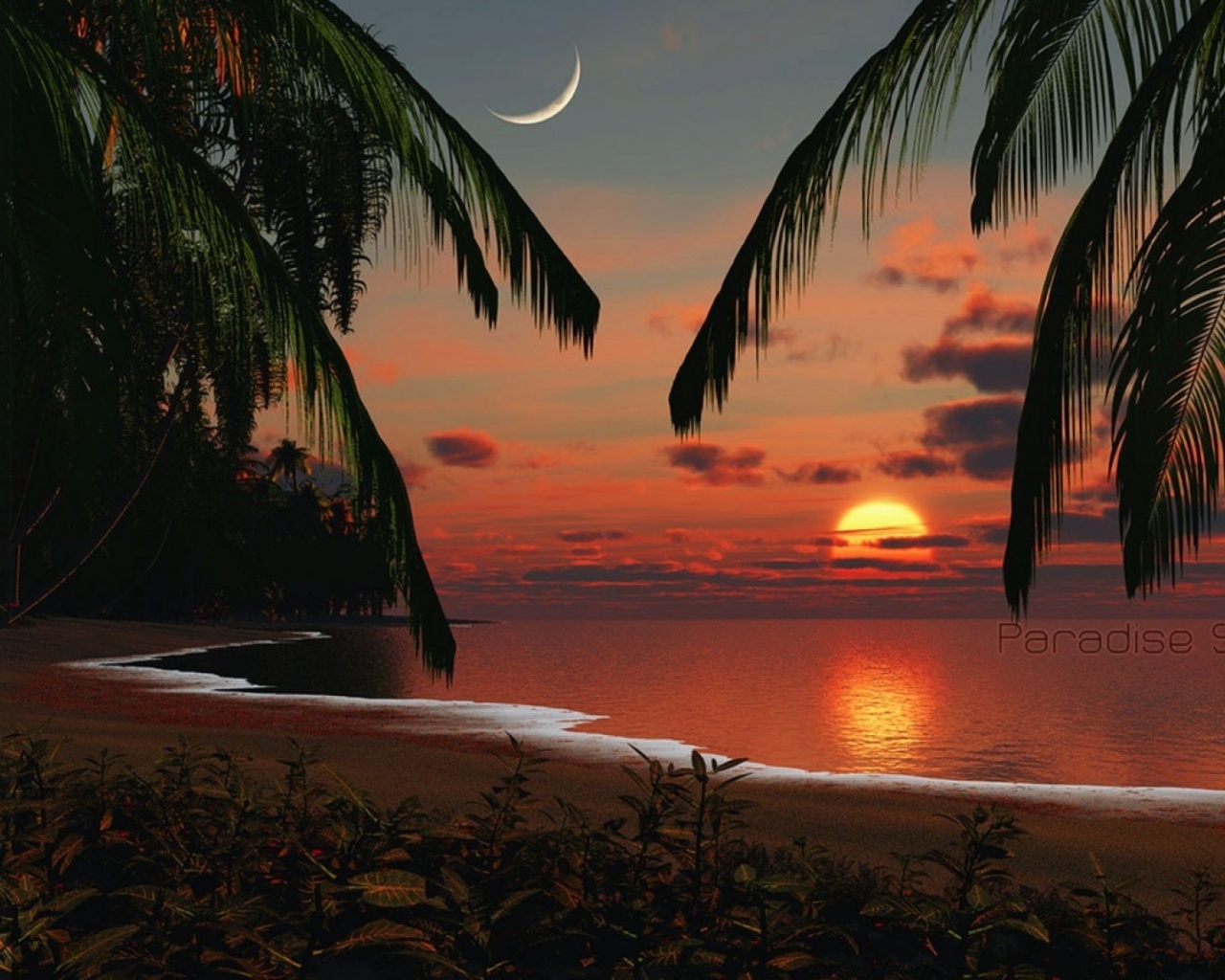 Tropical Beach Paradise Sunset , HD Wallpaper & Backgrounds