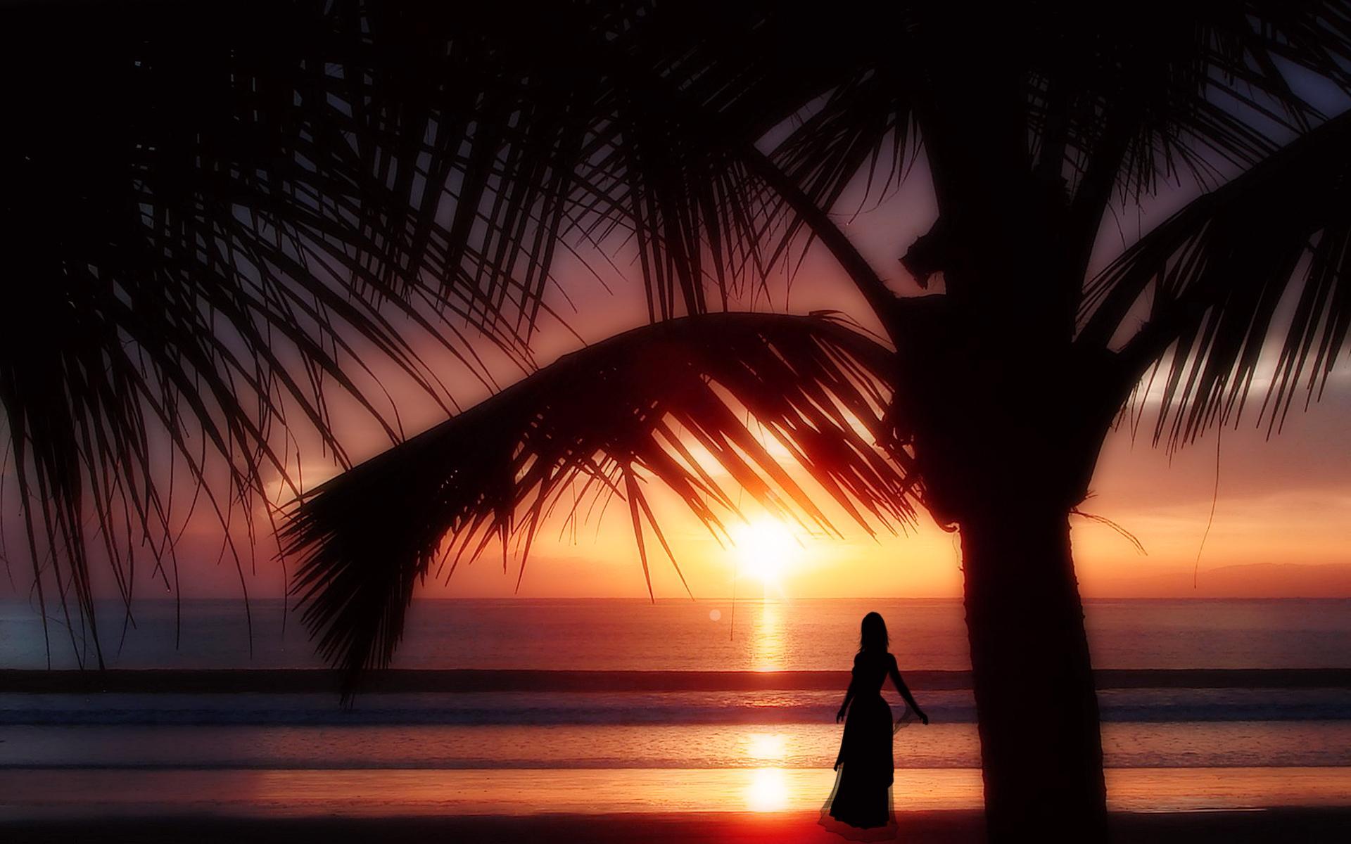 Tropical Sunset - Palm Trees Sunset Girl , HD Wallpaper & Backgrounds