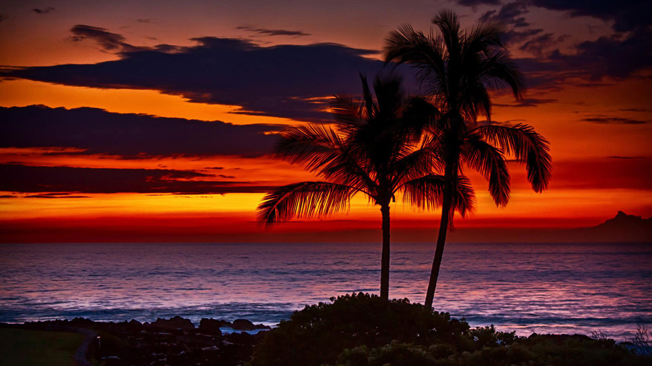 Tropical Sunset Wallpaper 01 1280 X 720 Pixels Resolution - Pretty Sunsets In Hawaii , HD Wallpaper & Backgrounds