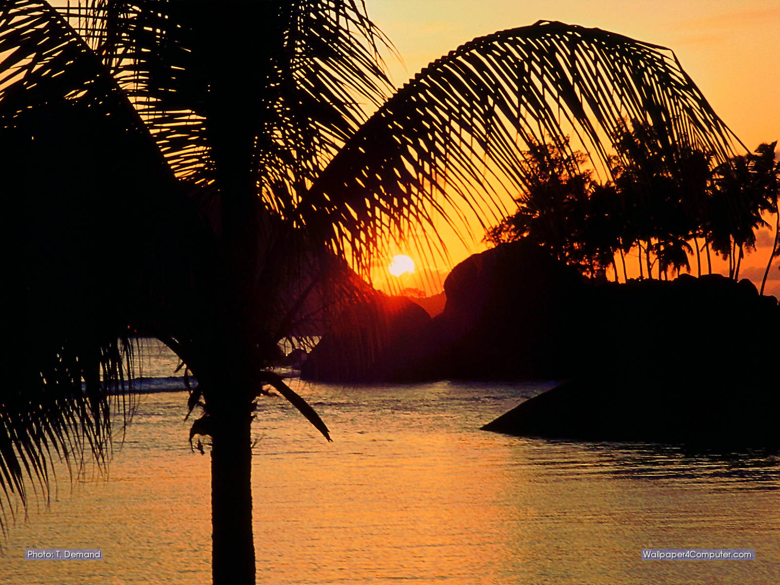 Unforgettable Tropical Sunset - Attalea Speciosa , HD Wallpaper & Backgrounds
