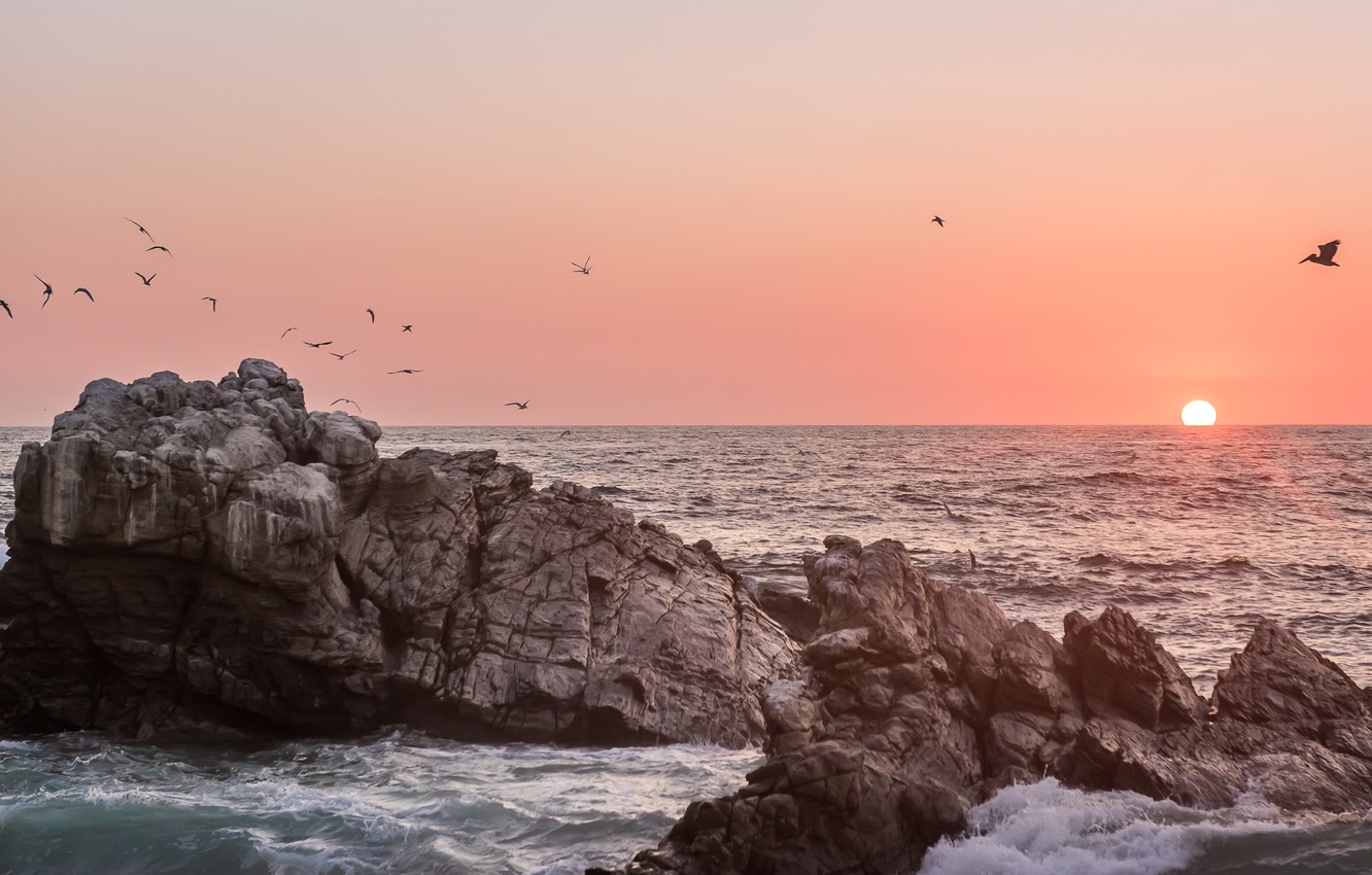 Photo Wallpaper Ocean, Sunset, Water, Seagulls - Sea , HD Wallpaper & Backgrounds