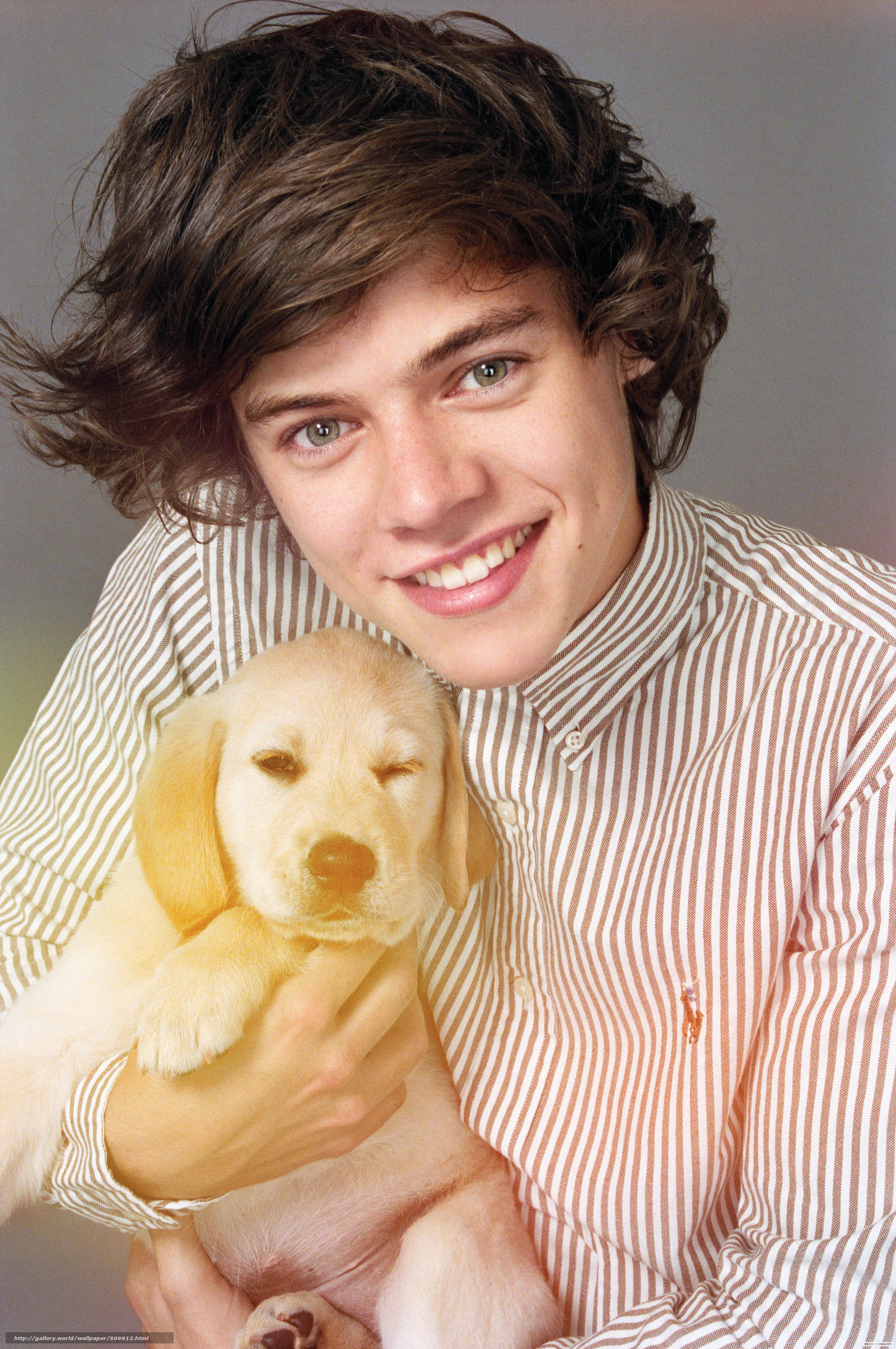 Download Wallpaper One Direction, Harry Styles, Harry - Harry Styles Child , HD Wallpaper & Backgrounds