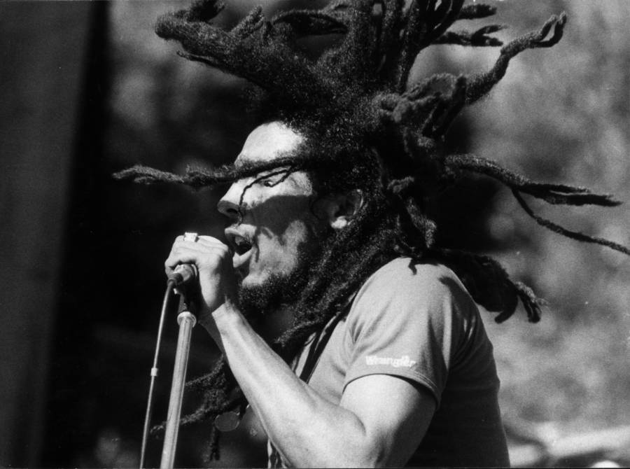 Marley With Dreads - Bob Marley , HD Wallpaper & Backgrounds