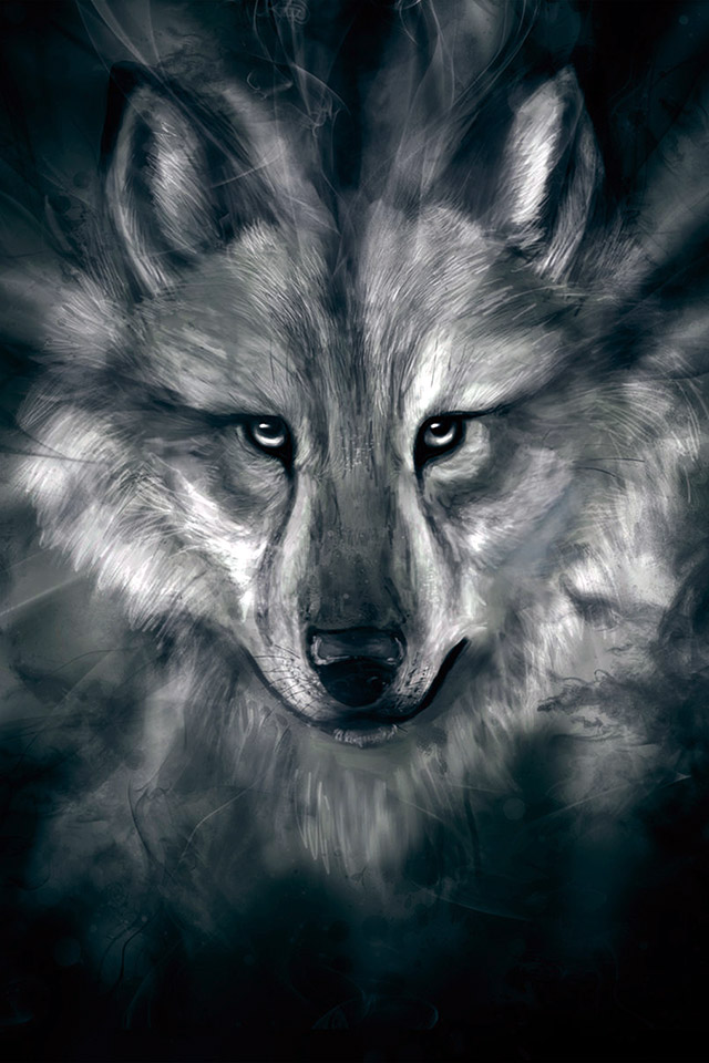 Wolf Hd Wallpaper Iphone - Wolf Face Wallpaper Hd , HD Wallpaper & Backgrounds