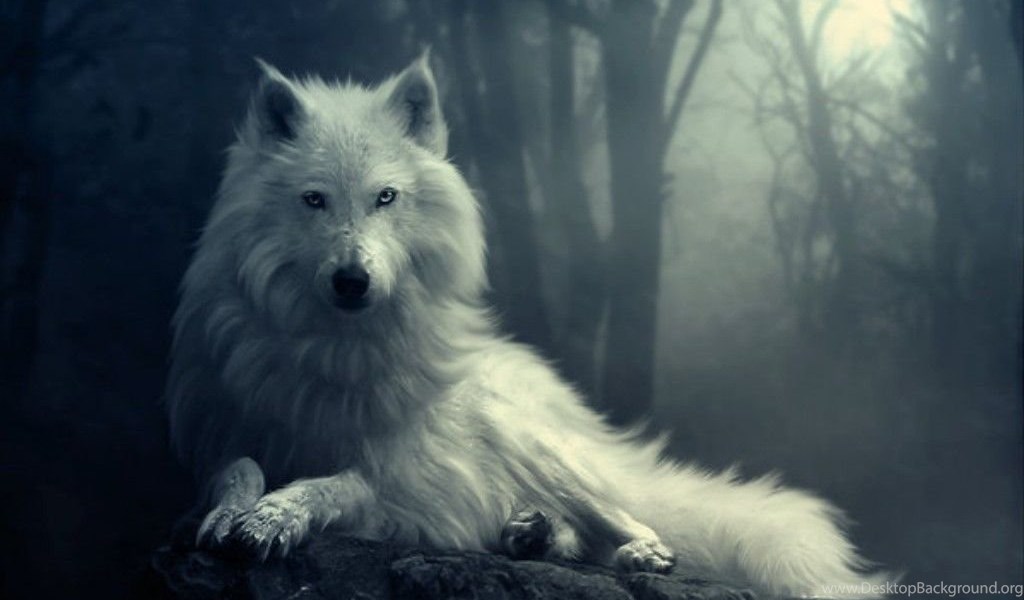 White Wolf Hd Wallpapers Desktop Background - Most Epic Music Ever The Wolf , HD Wallpaper & Backgrounds