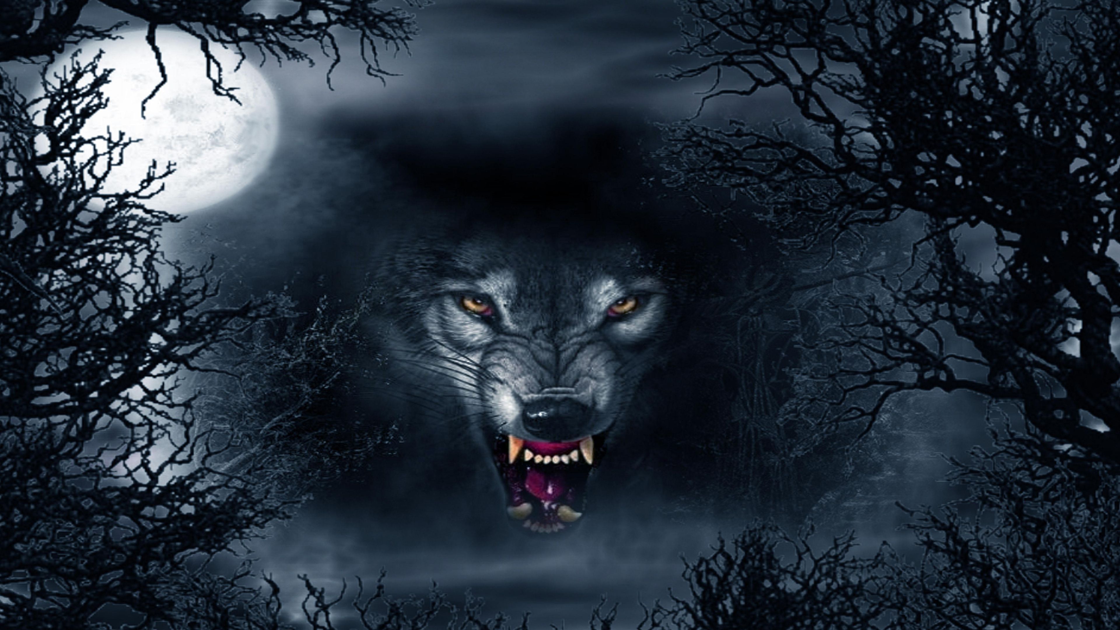 Evil Wolf Abstract Ultra Hd 4k Wallpapers - Black Angry Wolf Wallpaper Hd , HD Wallpaper & Backgrounds