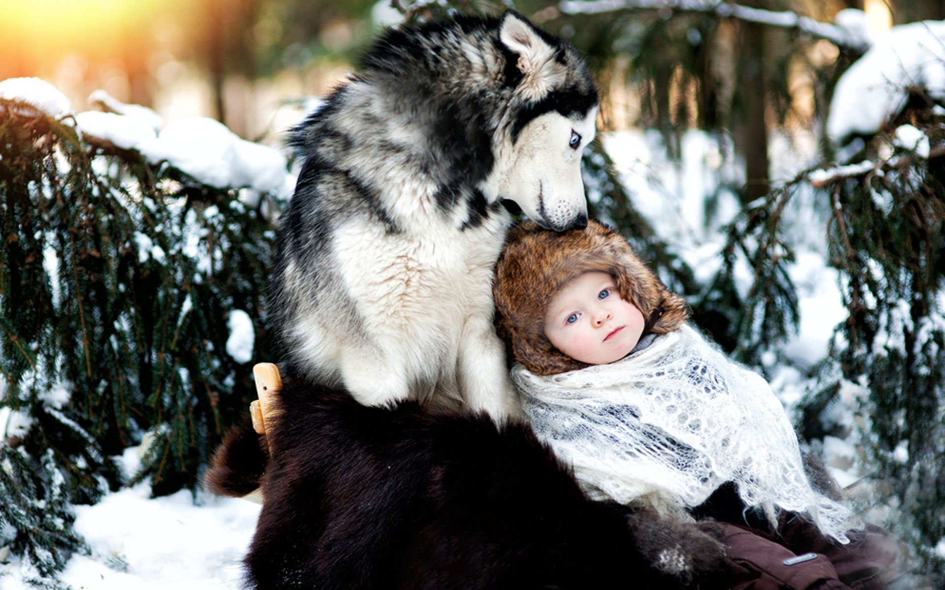 Wallpaper Winter - Wolf And Human Baby , HD Wallpaper & Backgrounds