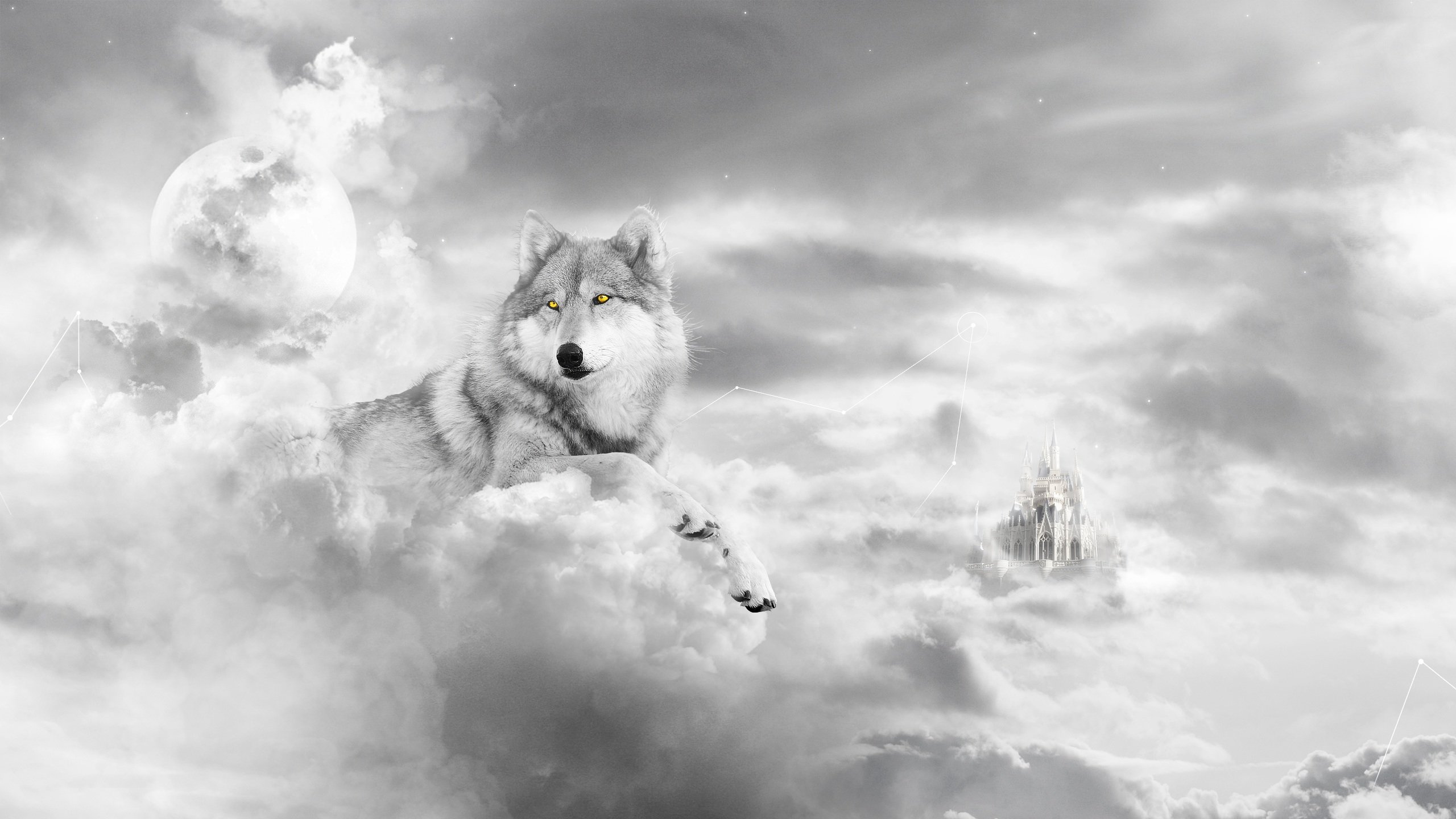 High Resolution Wolf Hd Wallpaper Id - Wolf In The Clouds , HD Wallpaper & Backgrounds