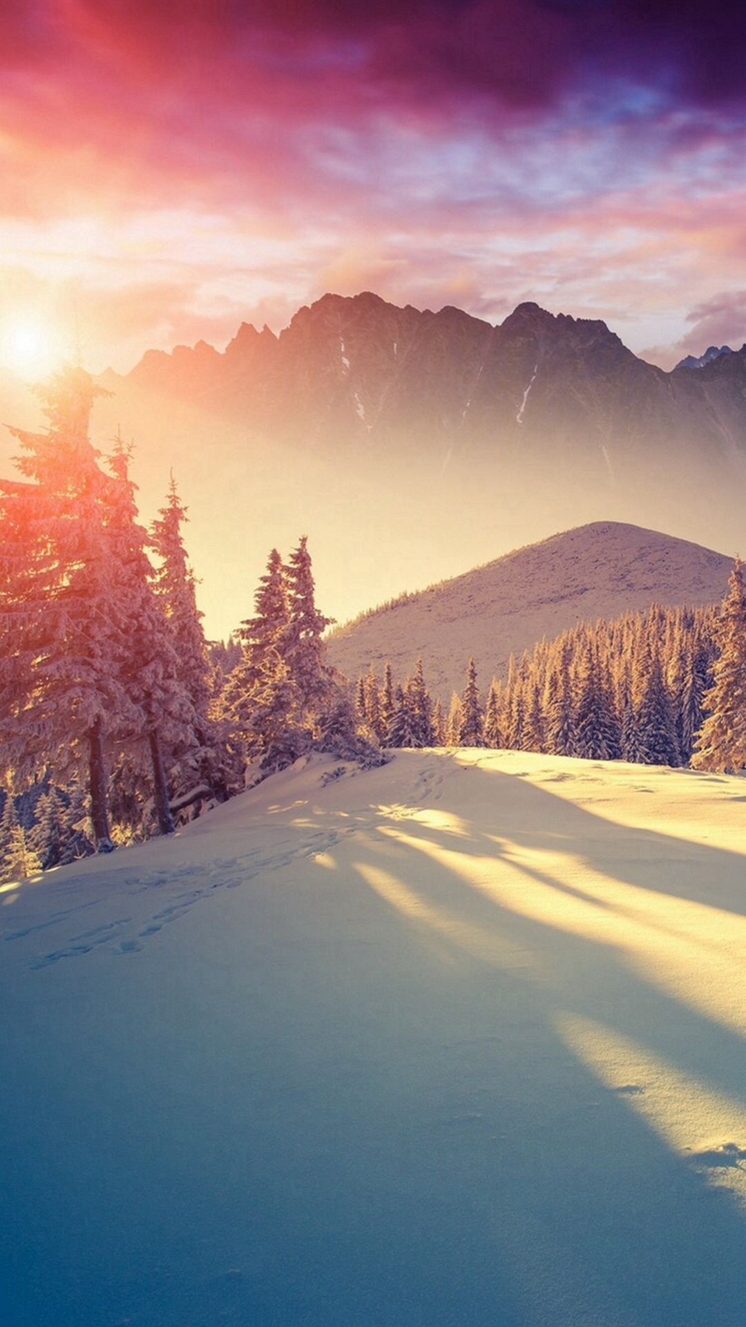 Sun Shining Through Winter Pine Trees Iphone 8 Wallpaper - Winter Wallpaper Iphone 8 , HD Wallpaper & Backgrounds