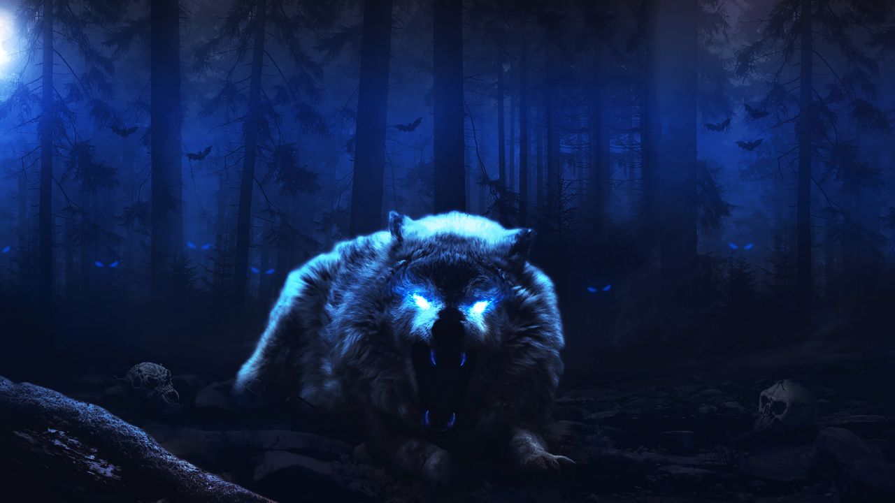 Animals / Wolf Wallpaper - Scary Wolf , HD Wallpaper & Backgrounds