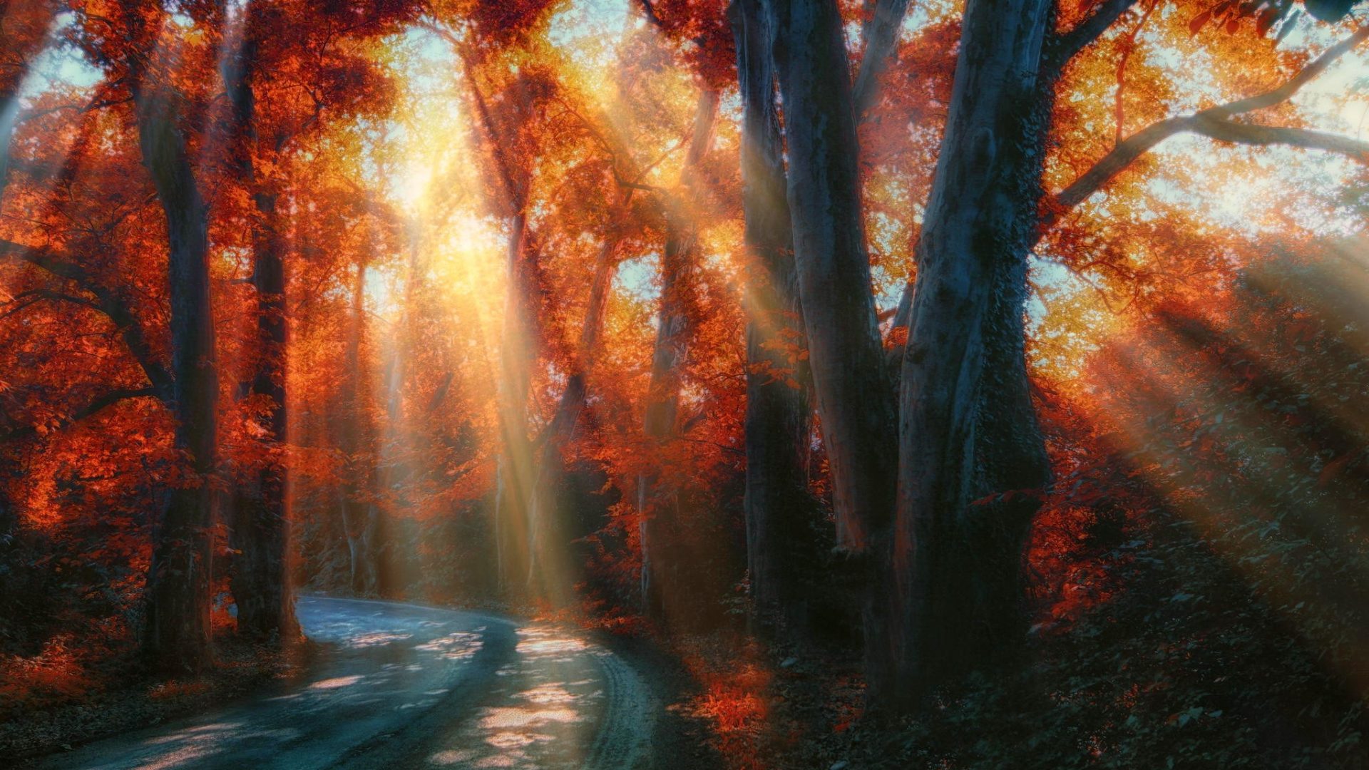 Beautiful Sunrays Wallpapers For Your Desktop Background - Autumn Sunbeams , HD Wallpaper & Backgrounds