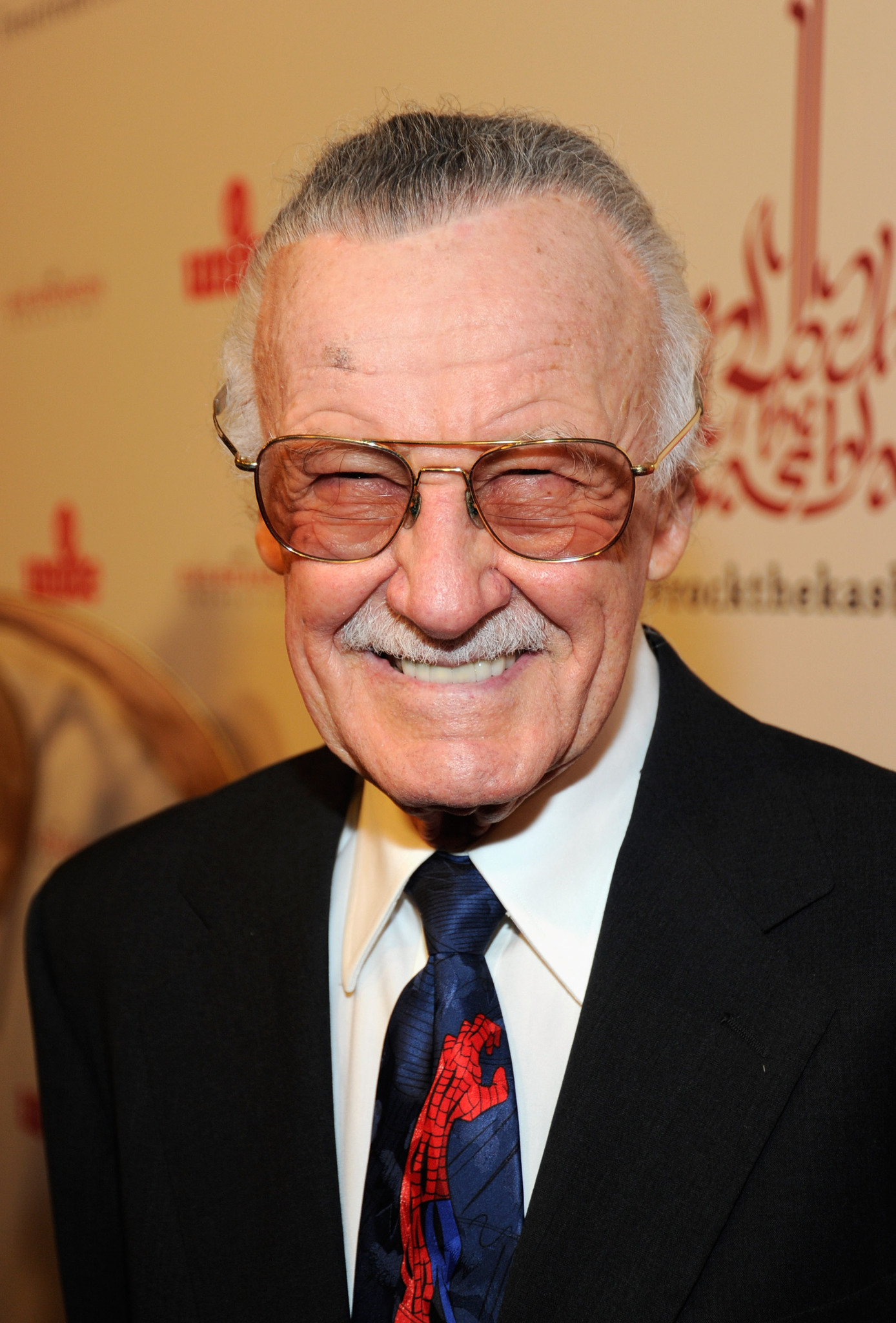 Stan Lee Funny Quotes , HD Wallpaper & Backgrounds