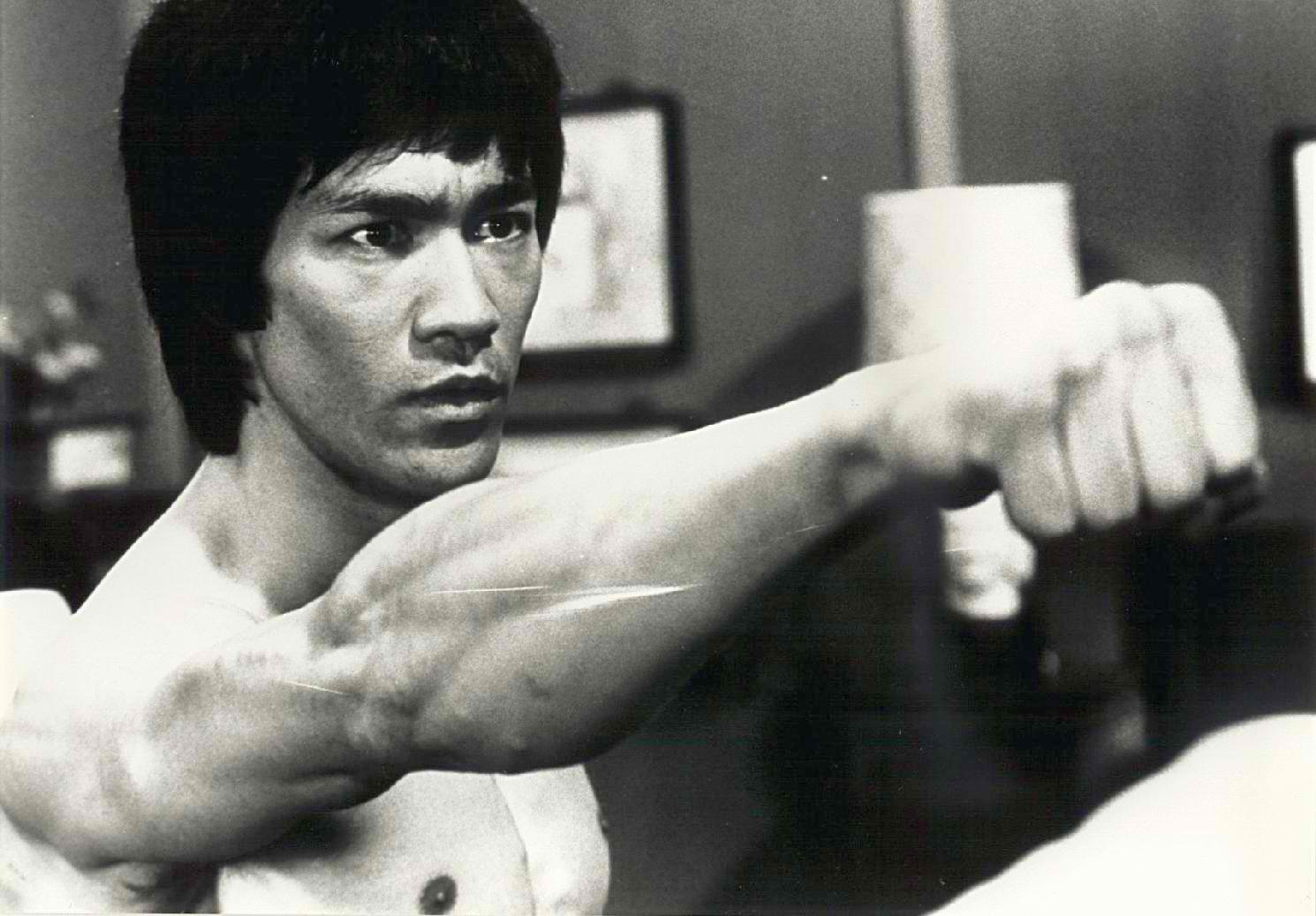 Bruce Lee The Fighter Hd Wallpapers , HD Wallpaper & Backgrounds