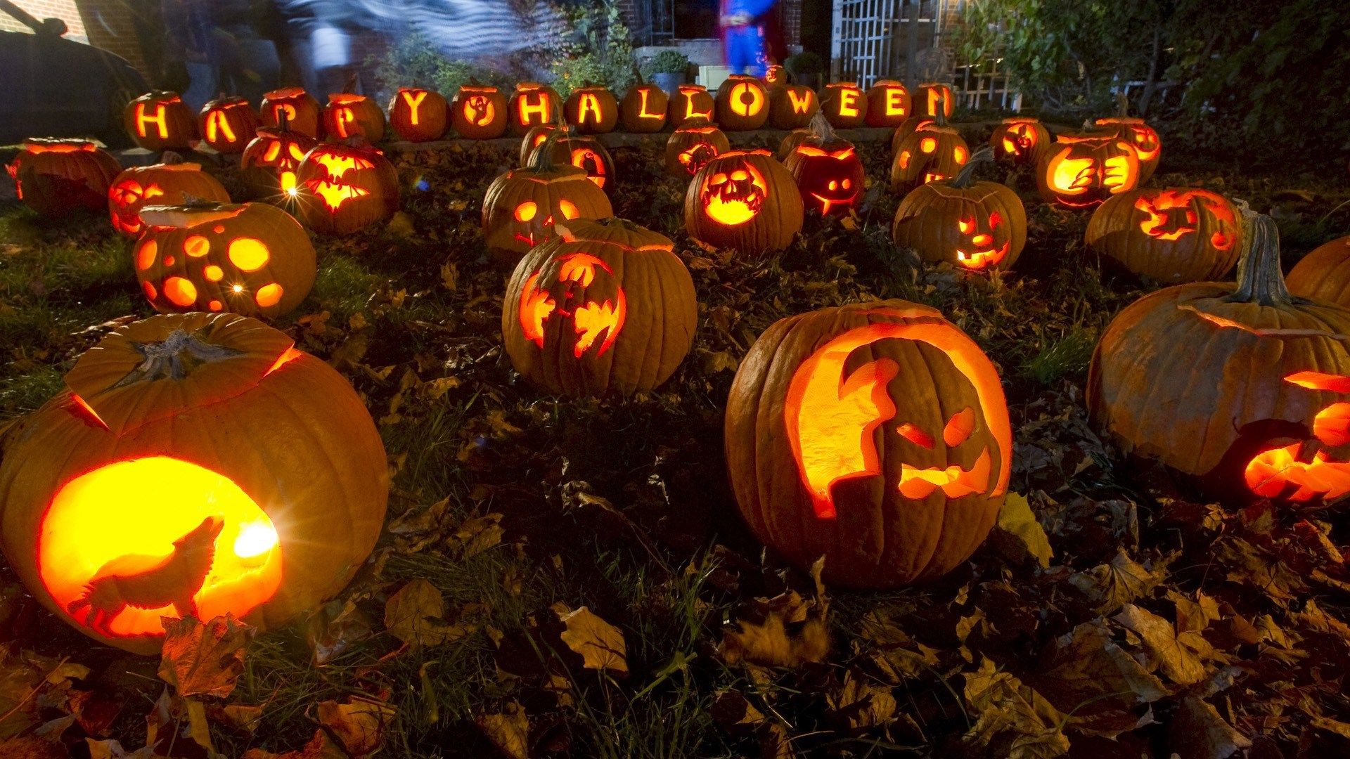 Halloween Hd Wallpapers 1080p Windows - Halloween Pumpkin Hd , HD Wallpaper & Backgrounds