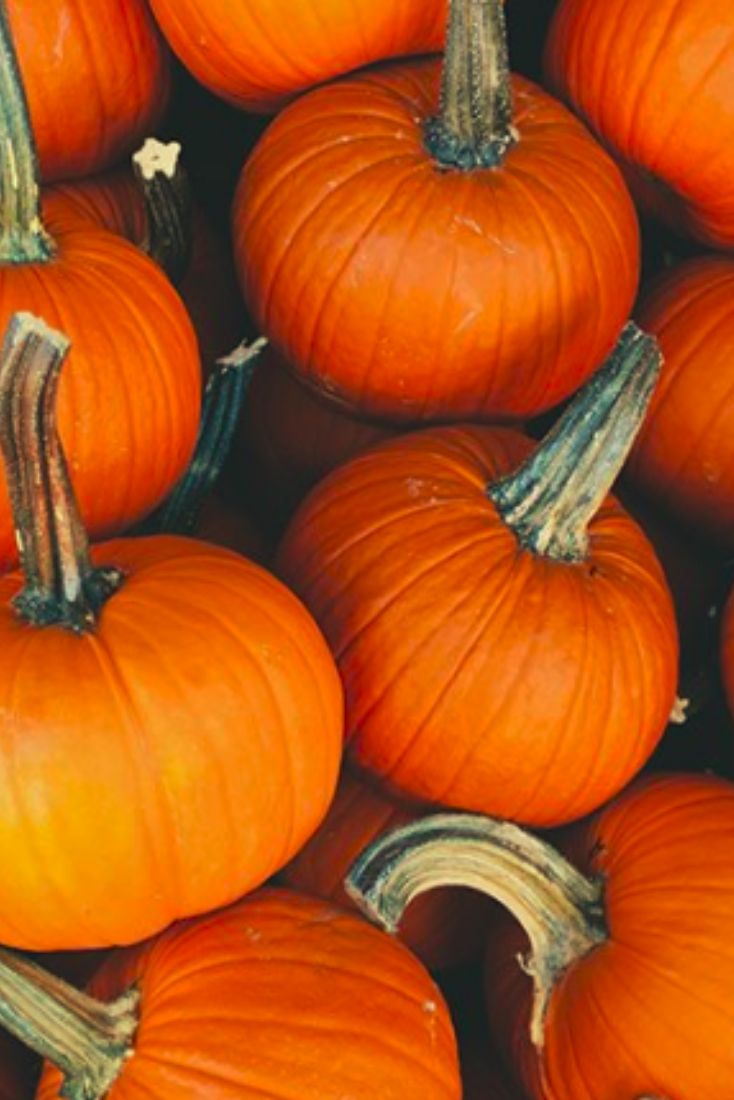 8 Healthy Pumpkin Spice Latte Psl Foods Halloween Tumblr, - Pumpkin Patch Iphone , HD Wallpaper & Backgrounds