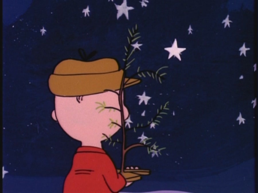 Christmas Movies Images A Charlie Brown Christmas Hd - Sad Charlie Brown Christmas , HD Wallpaper & Backgrounds
