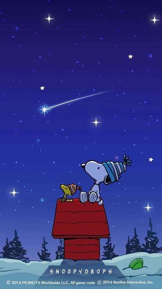 Snoopy Peanuts Christmas, Charlie Brown Christmas, - Christmas Wonder , HD Wallpaper & Backgrounds