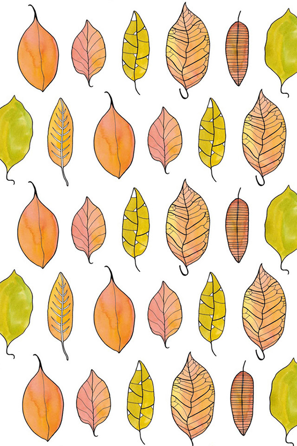 Autumn Pattern Iphone Wallpaper - Fruit , HD Wallpaper & Backgrounds