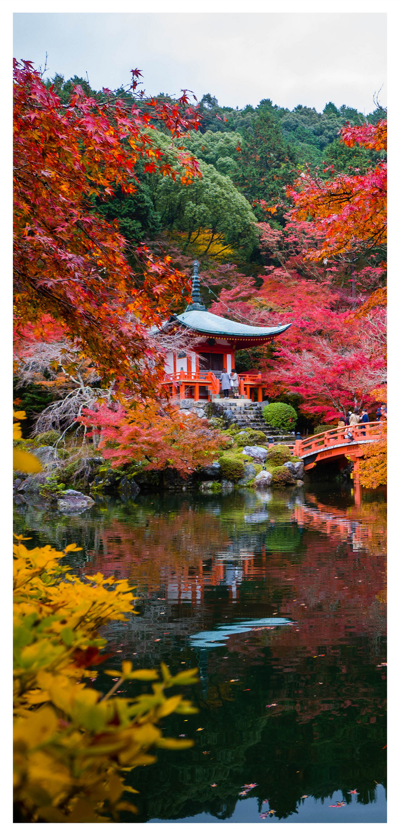 Autumn Mobile Phone Wallpaper In Kyoto Autumn Mobile - Daigo-ji , HD Wallpaper & Backgrounds