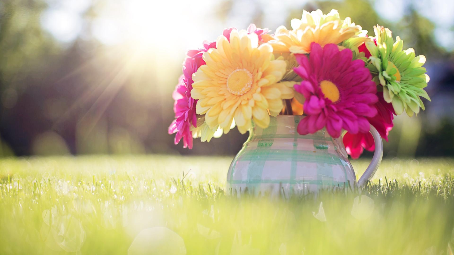 Spring Wallpaper Desktop , HD Wallpaper & Backgrounds