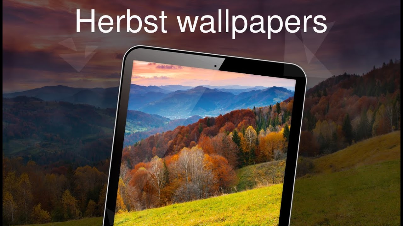 Herbst Wallpapers 4k - Mobile Phone , HD Wallpaper & Backgrounds
