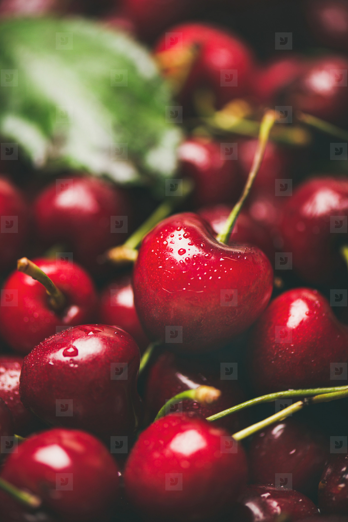 Fresh Sweet Cherry Texture Wallpaper And Background - Papeis De Parede De Cerejas , HD Wallpaper & Backgrounds