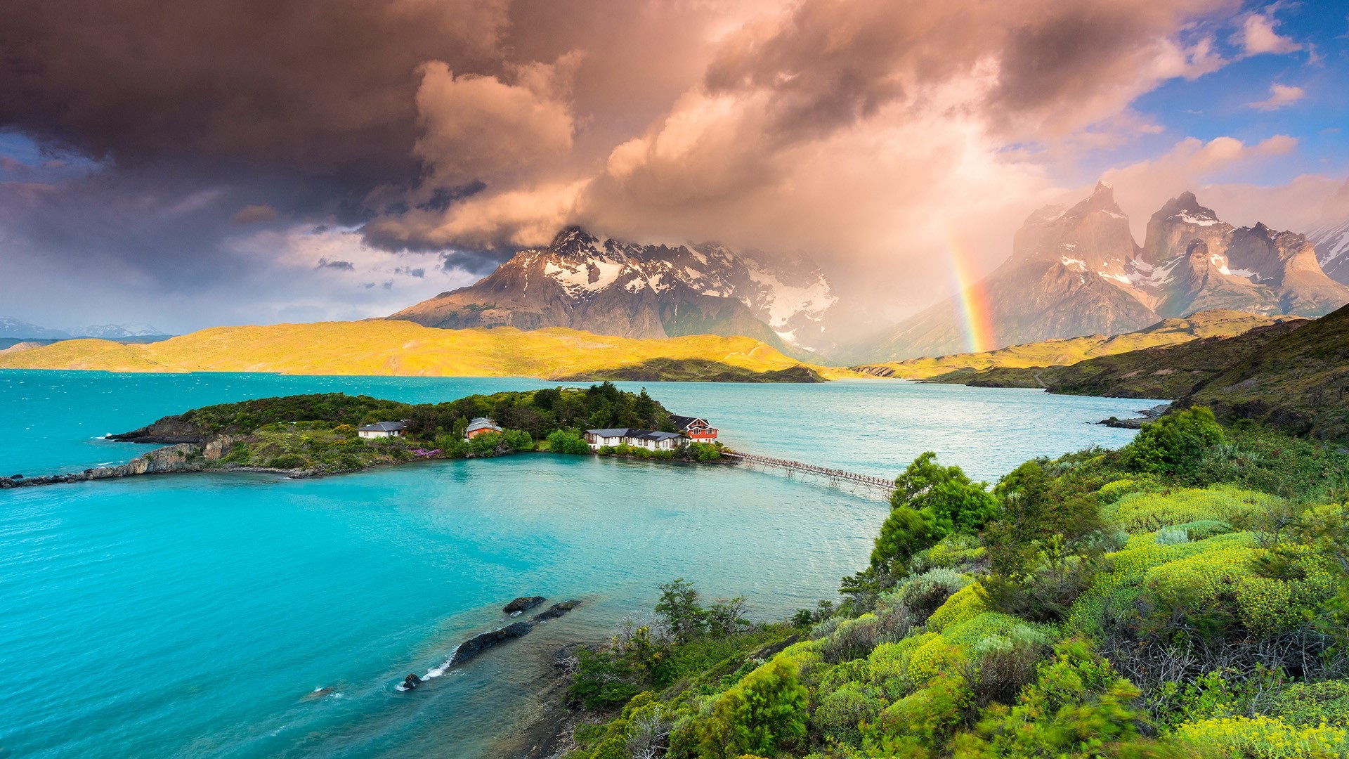 Sweet Background From Microsoft This Morning - Patagonia Chile Windows 10 , HD Wallpaper & Backgrounds