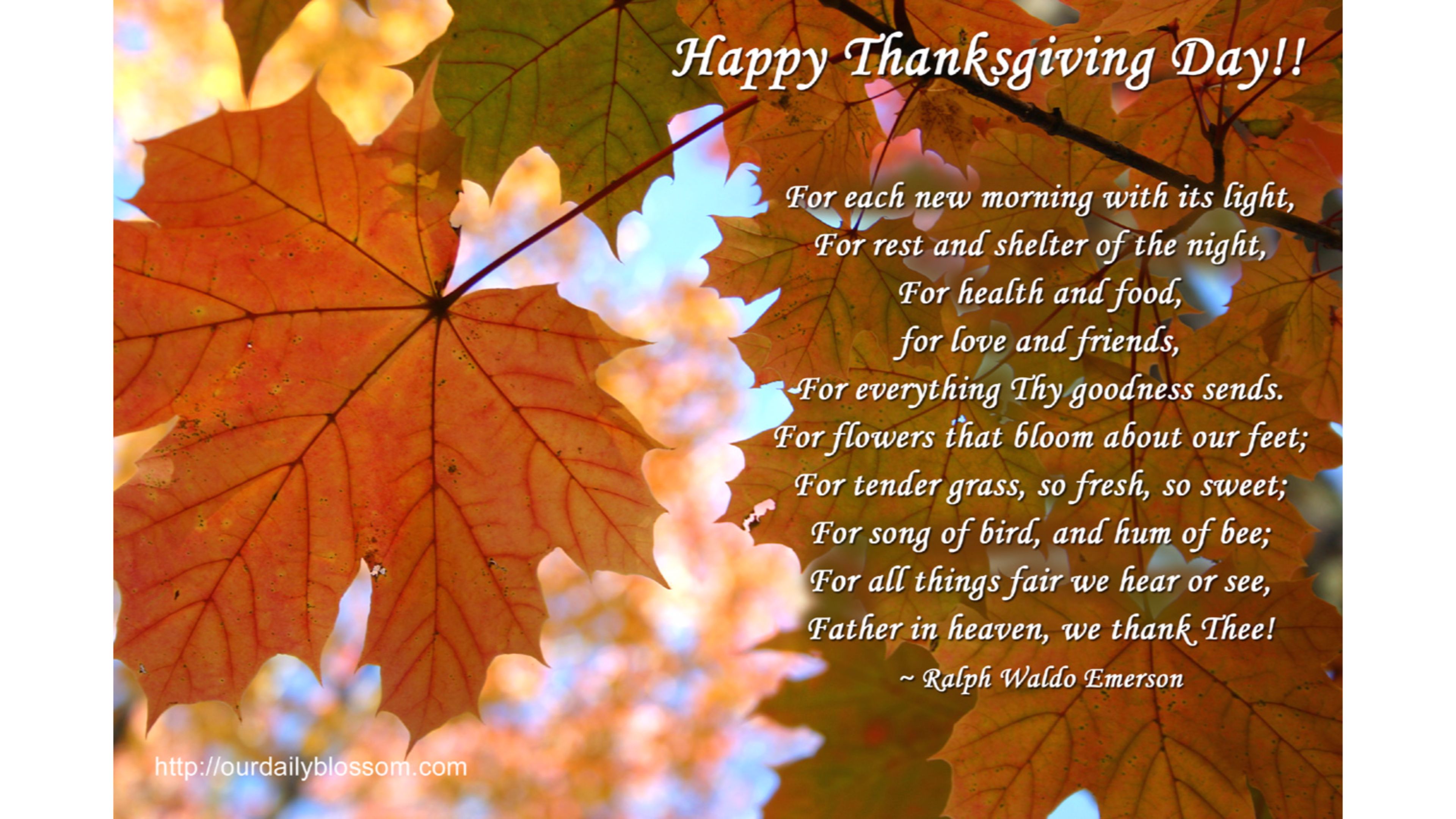 Quotes Happy Thanksgiving - Happy Thanksgiving Quotes 2018 , HD Wallpaper & Backgrounds