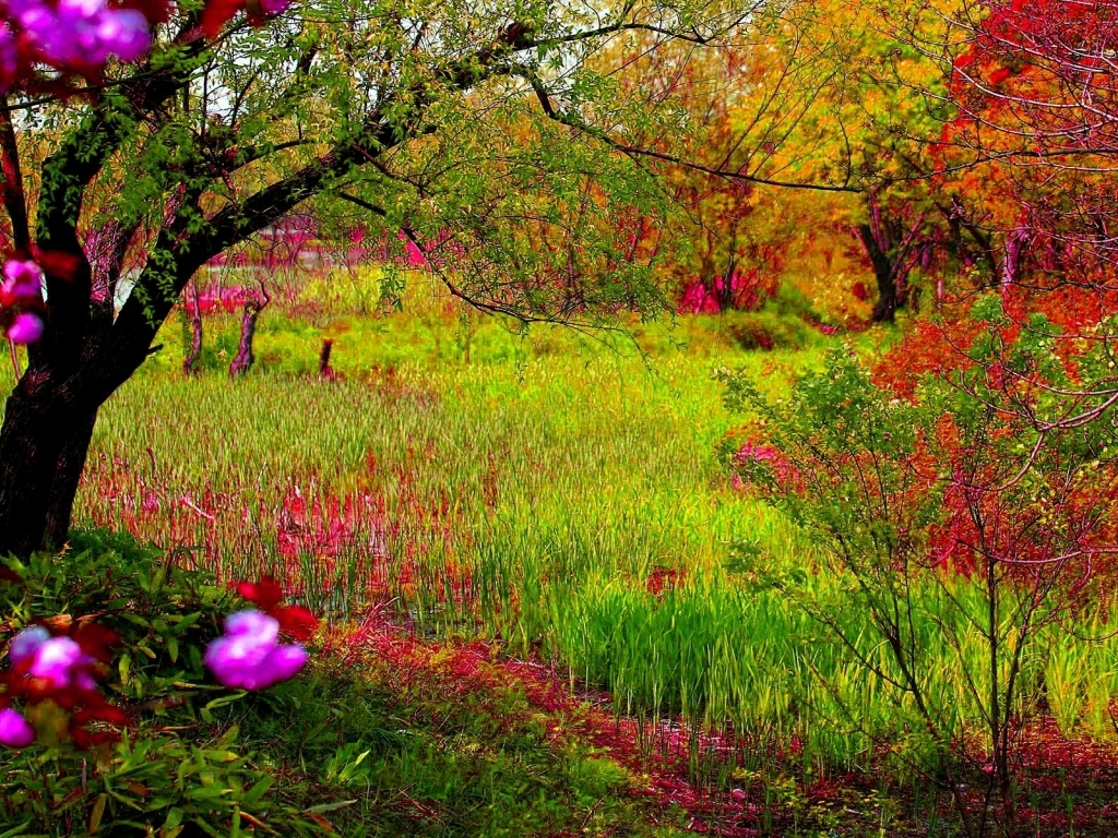 Laptop 1920x1080 Free Download Flores De La Naturaleza 1962459