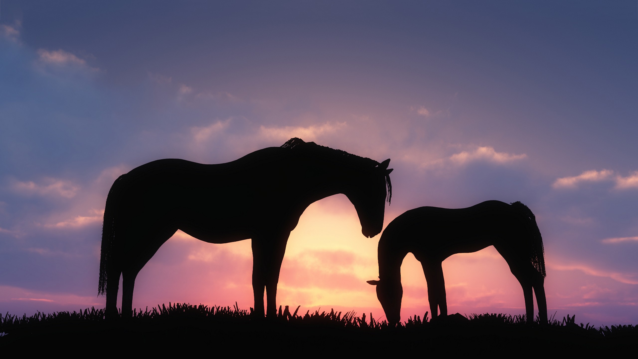 Animals / Horses Wallpaper - Horses In The Sunset , HD Wallpaper & Backgrounds