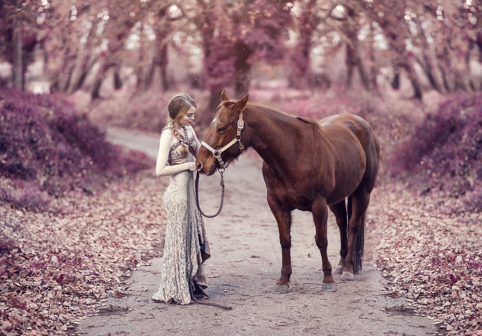 #horse, #women, #women Outdoors, #animals, #model, - Cute And Beautiful Horse , HD Wallpaper & Backgrounds