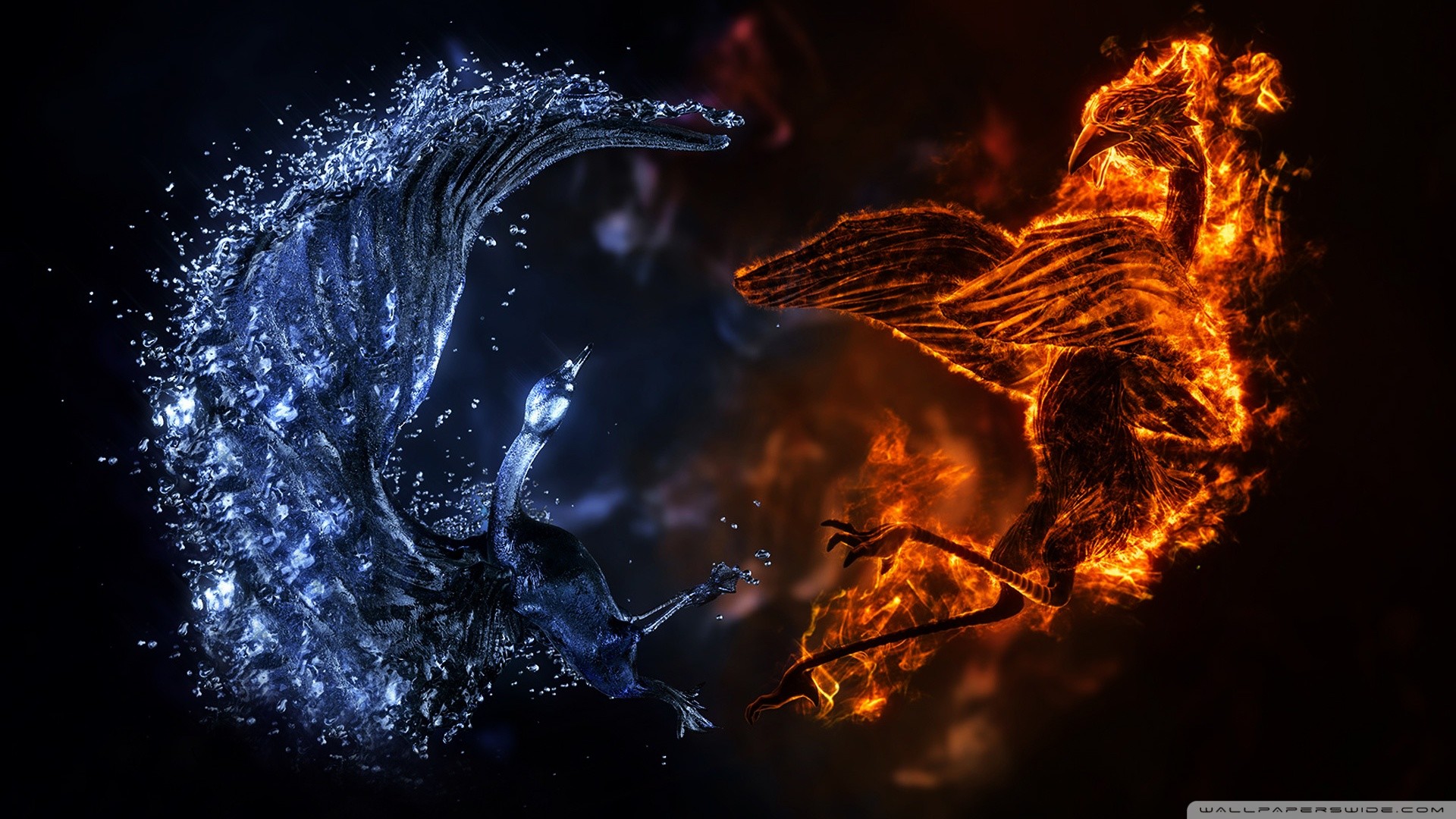 Abstract Fire Horse Wallpaper - Fire Bird Vs Water Bird , HD Wallpaper & Backgrounds