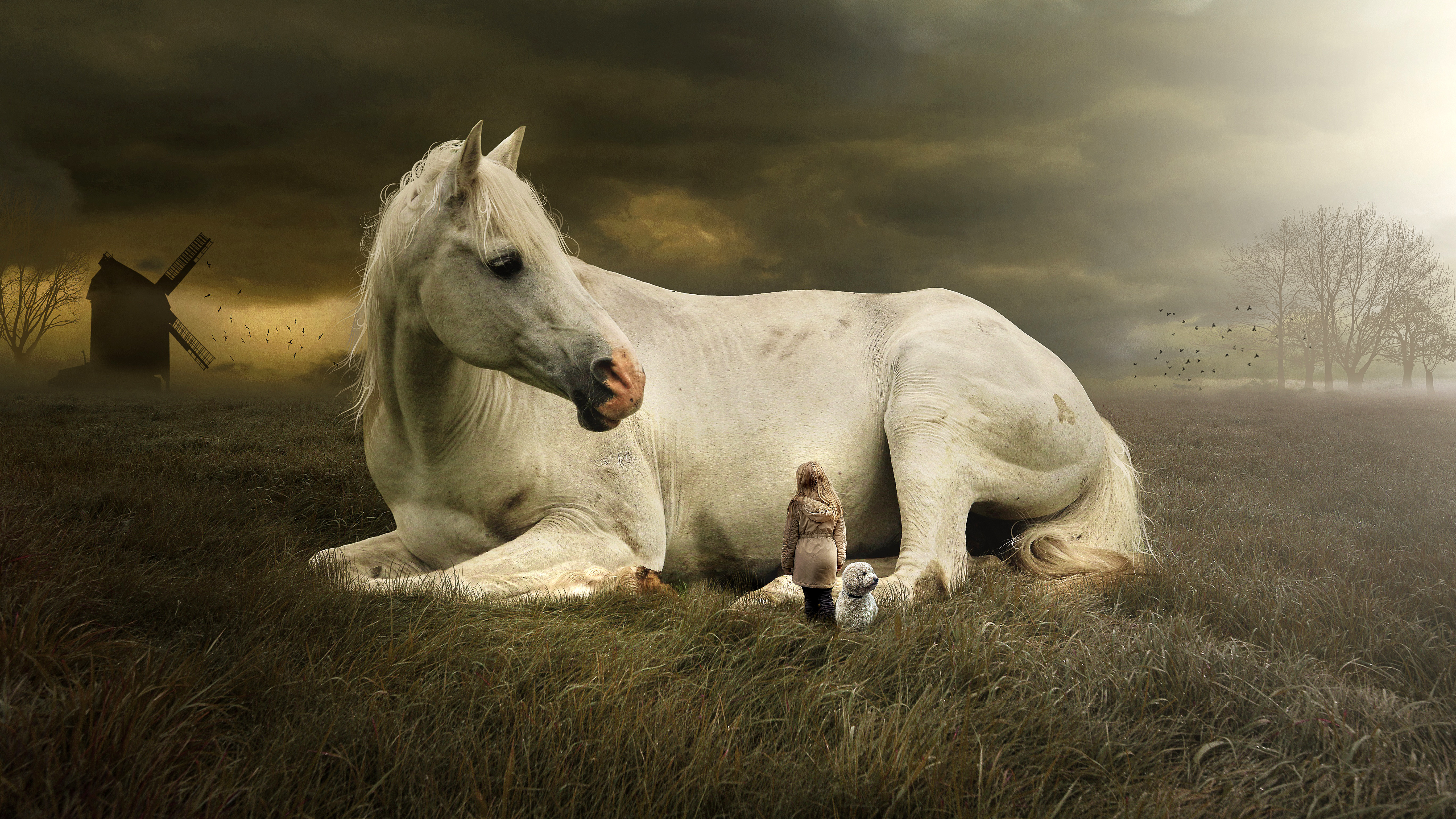 Horse Fantasy 5k Wallpapers - White Wallpaper Horse , HD Wallpaper & Backgrounds