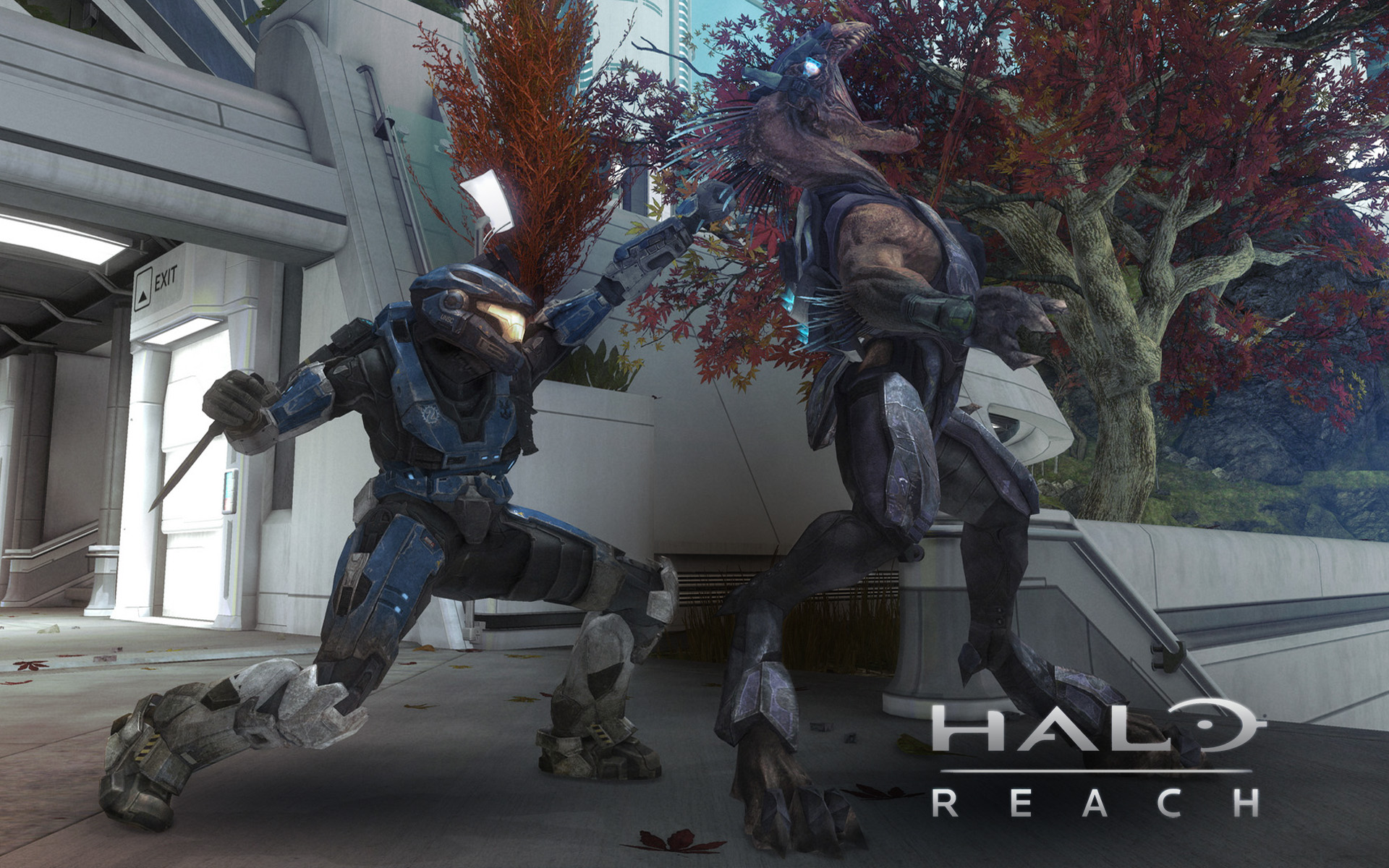 Halo Reach Widescreen Wallpapers - Halo Reach Firefight , HD Wallpaper & Backgrounds