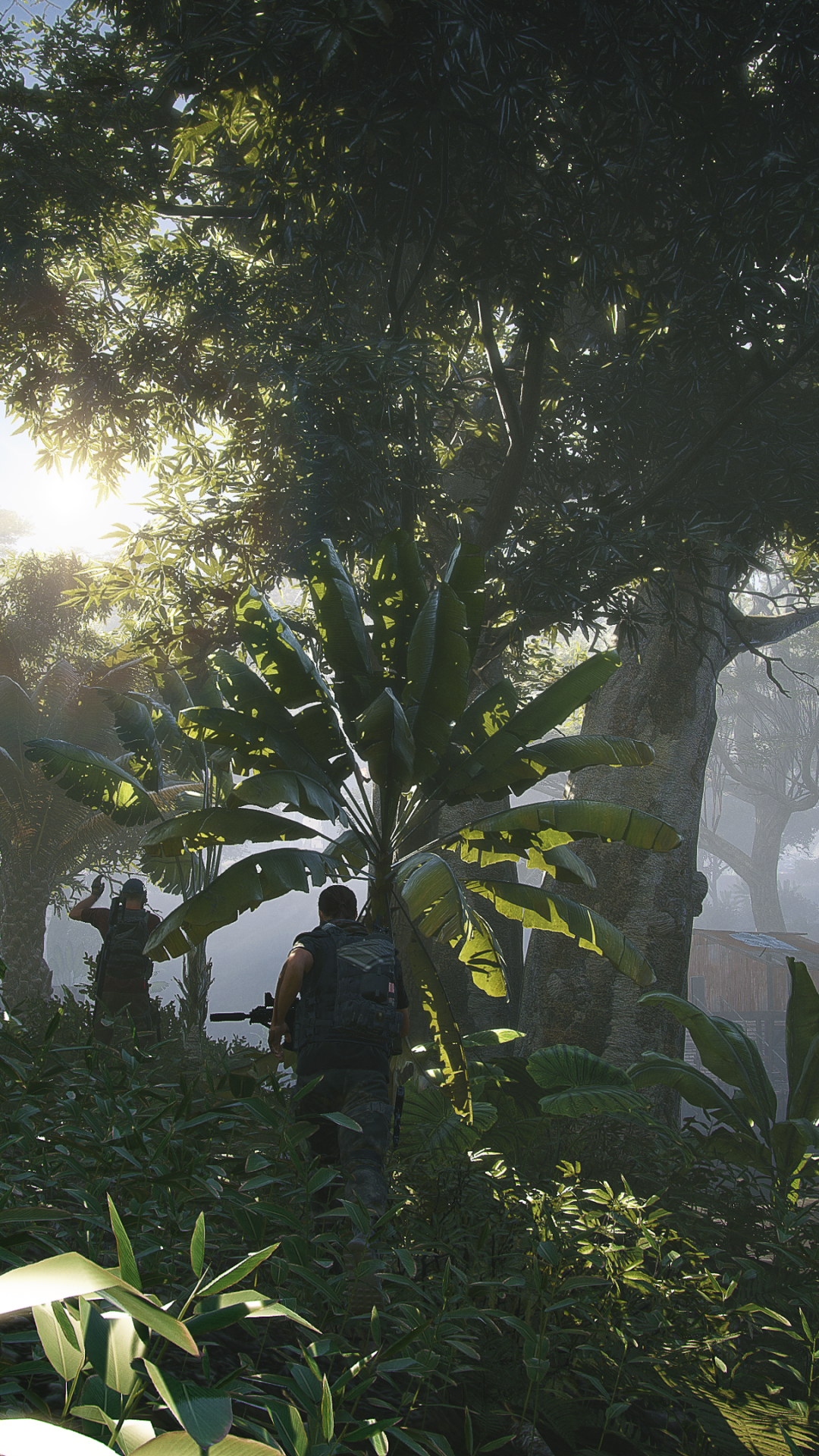 Tom Clancys Ghost Recon Wildlands Forest Ghost Recon Wildlands Tom Clancys Ghost Recon Wildlands Forest Ghost Recon Wildlands