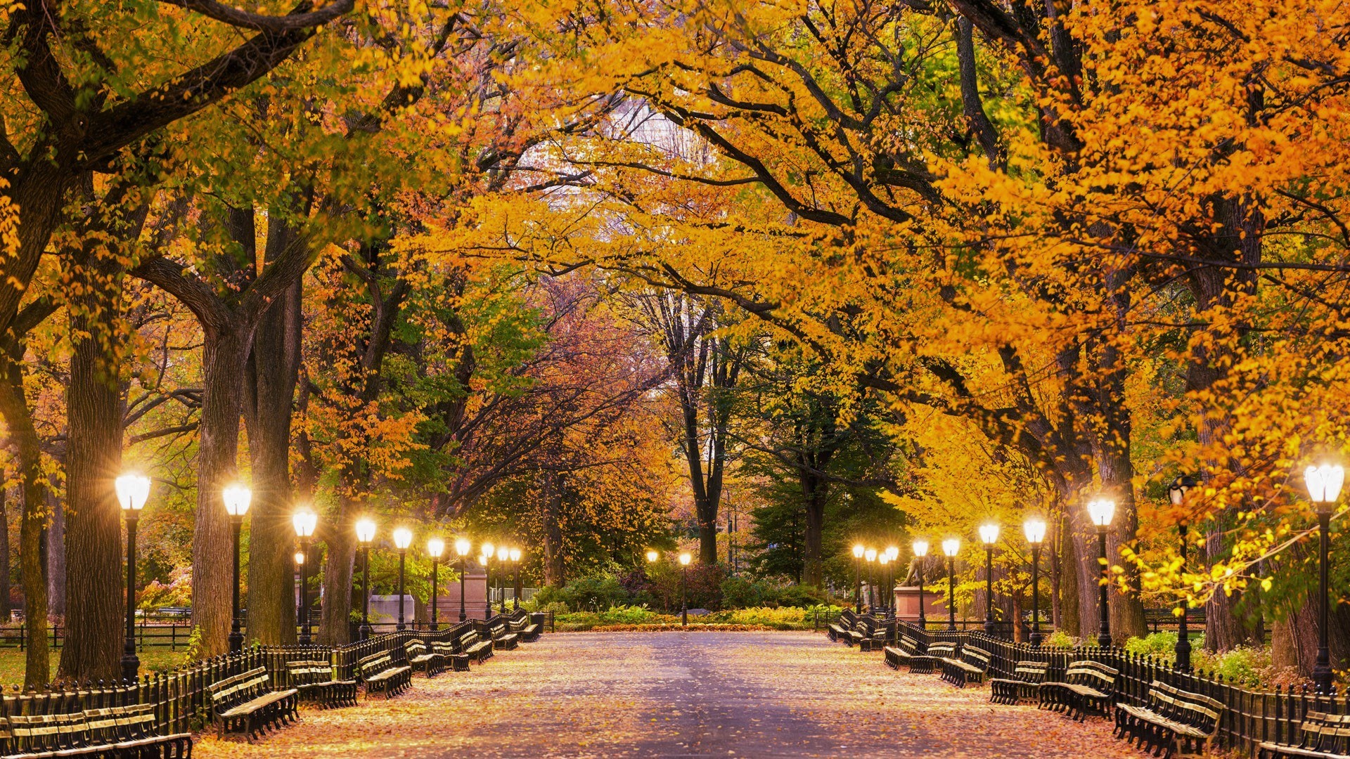 Central Park In Autumn Hd Wallpaper - Central Park Fall Background , HD Wallpaper & Backgrounds