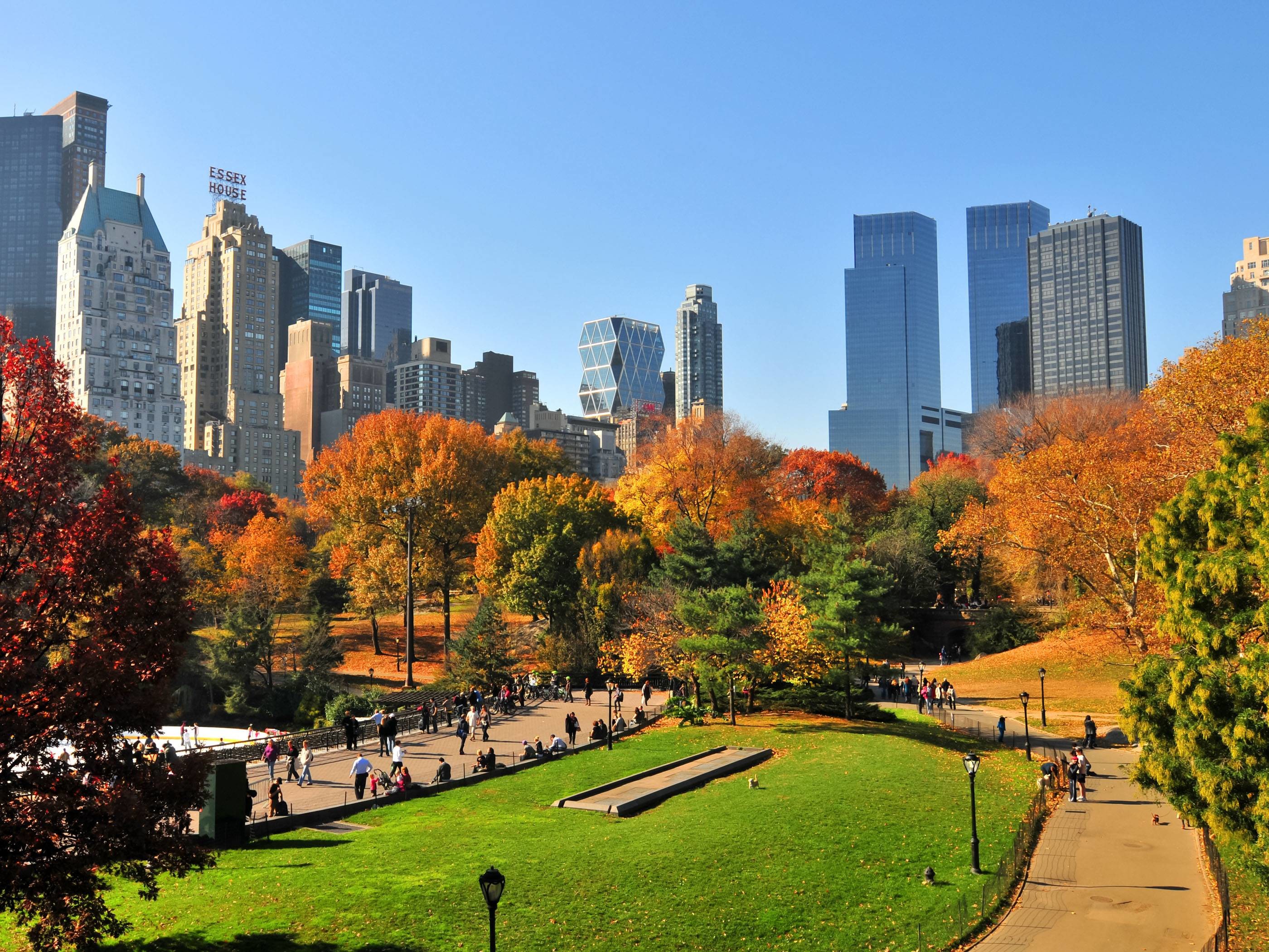 Central Park In Nyc During Autumn - New York City , HD Wallpaper & Backgrounds
