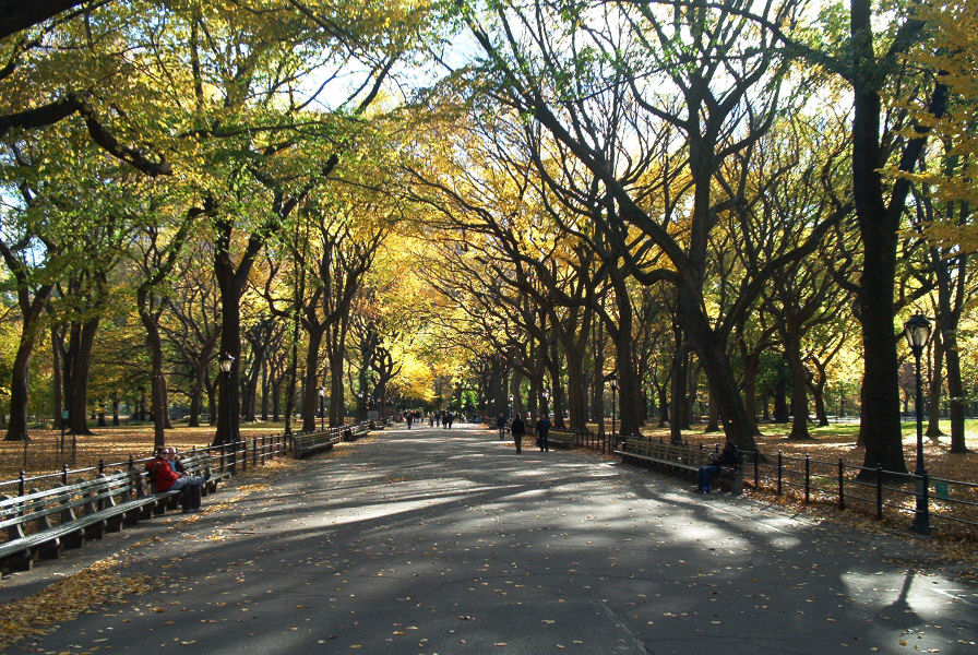 Central Park New York Background , HD Wallpaper & Backgrounds